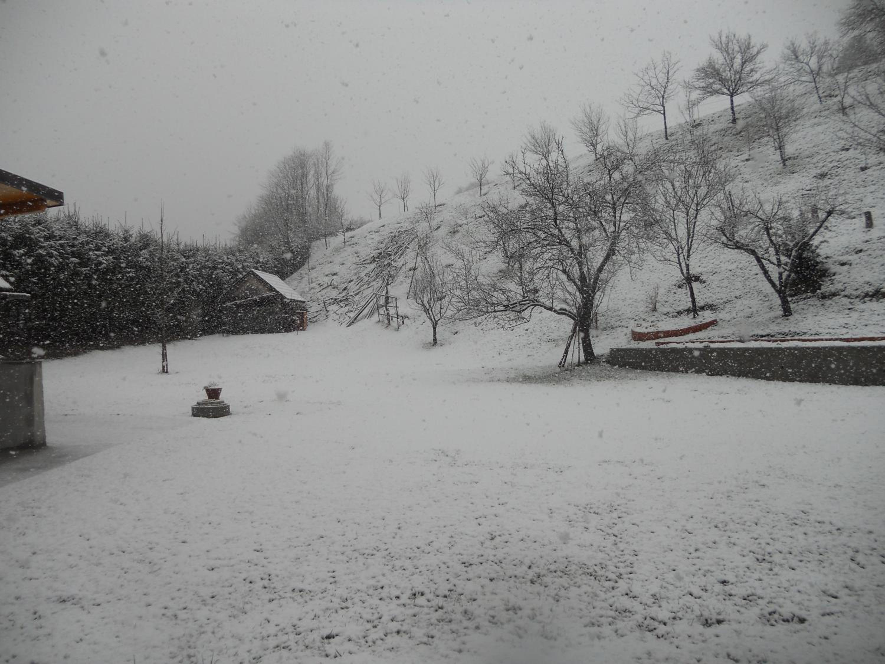 Photo 44