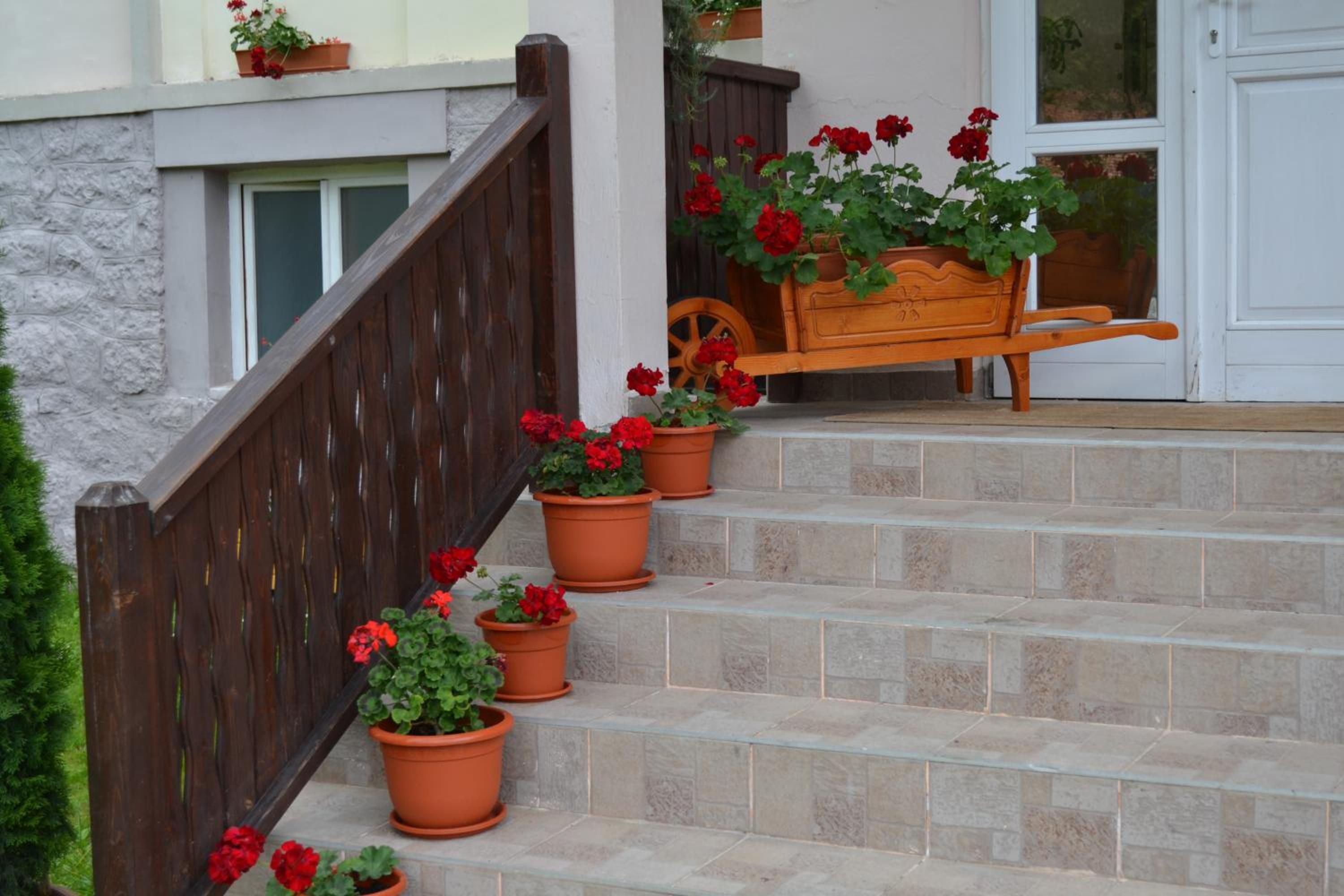 Pension Rose-Trandafirul view 2