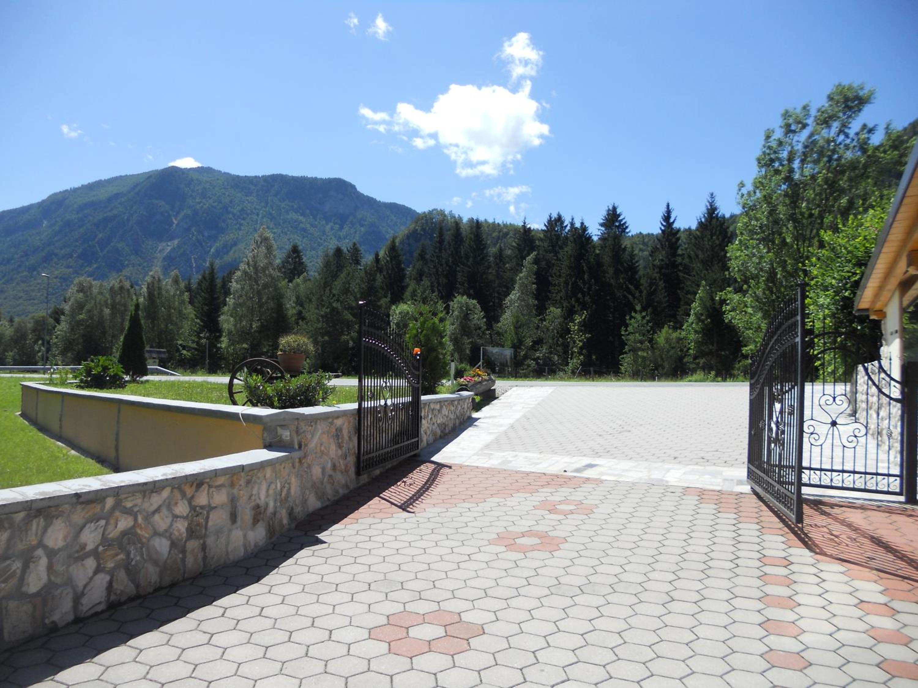Photo 41