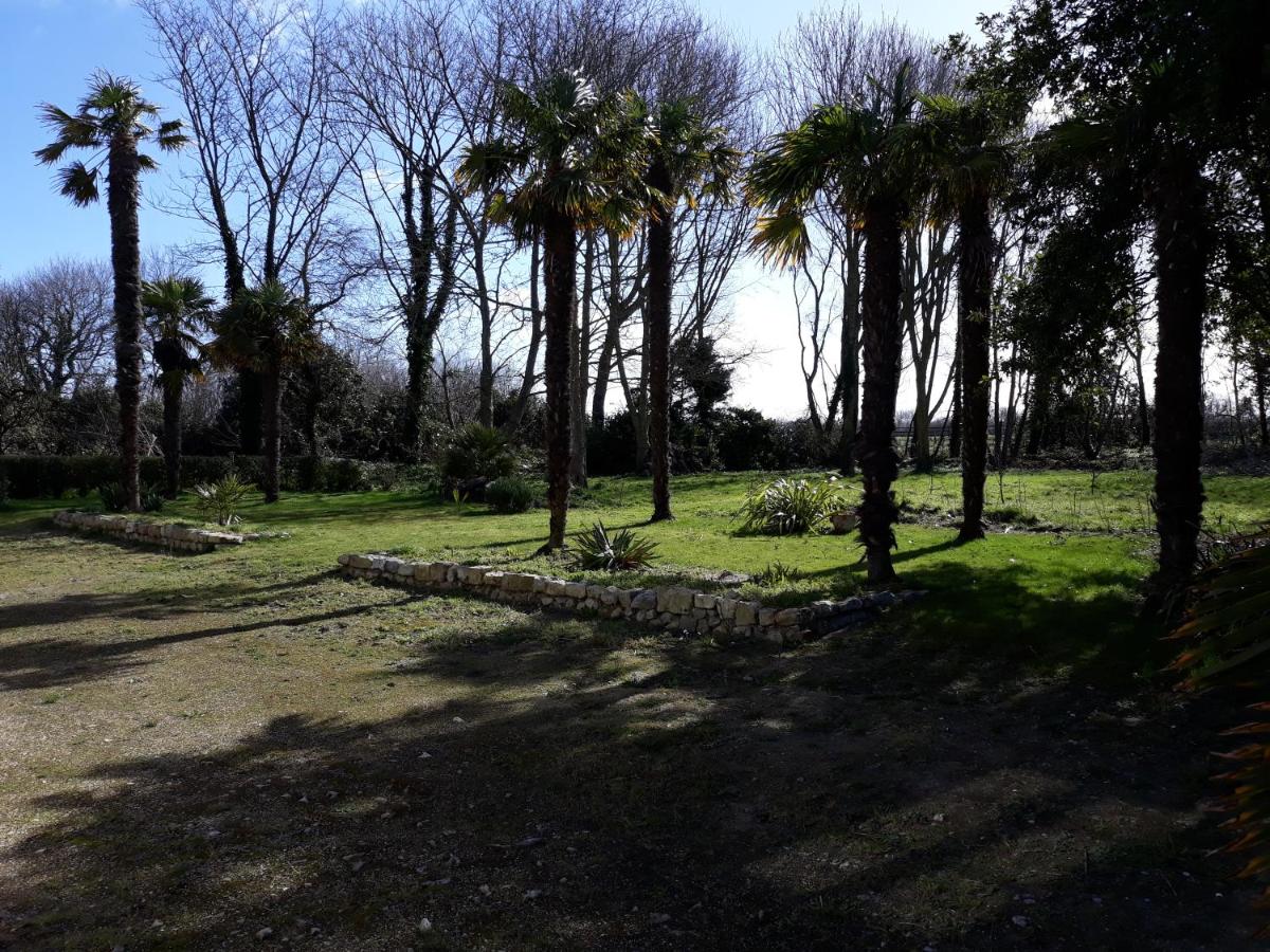 Photo 28