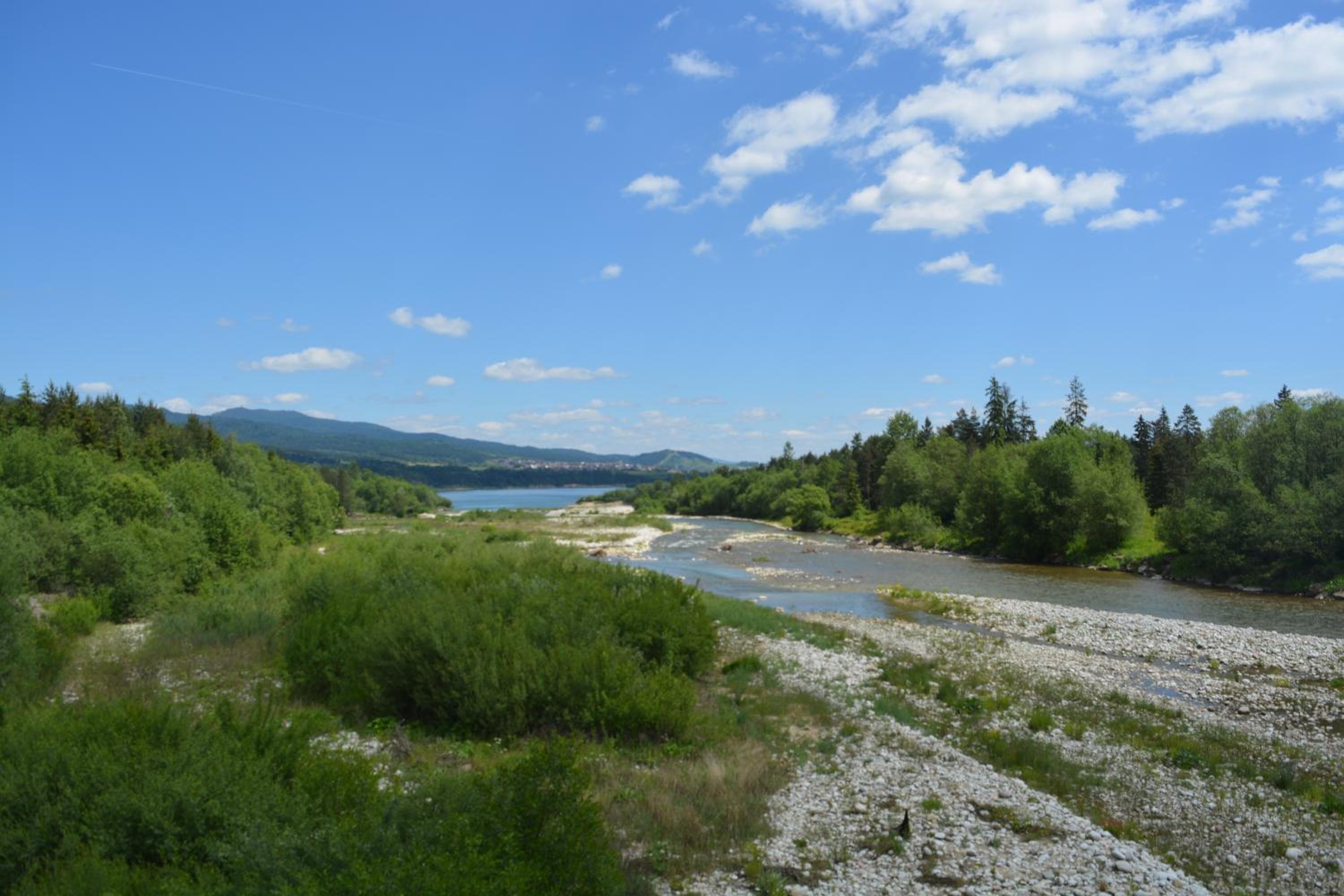 Photo 44