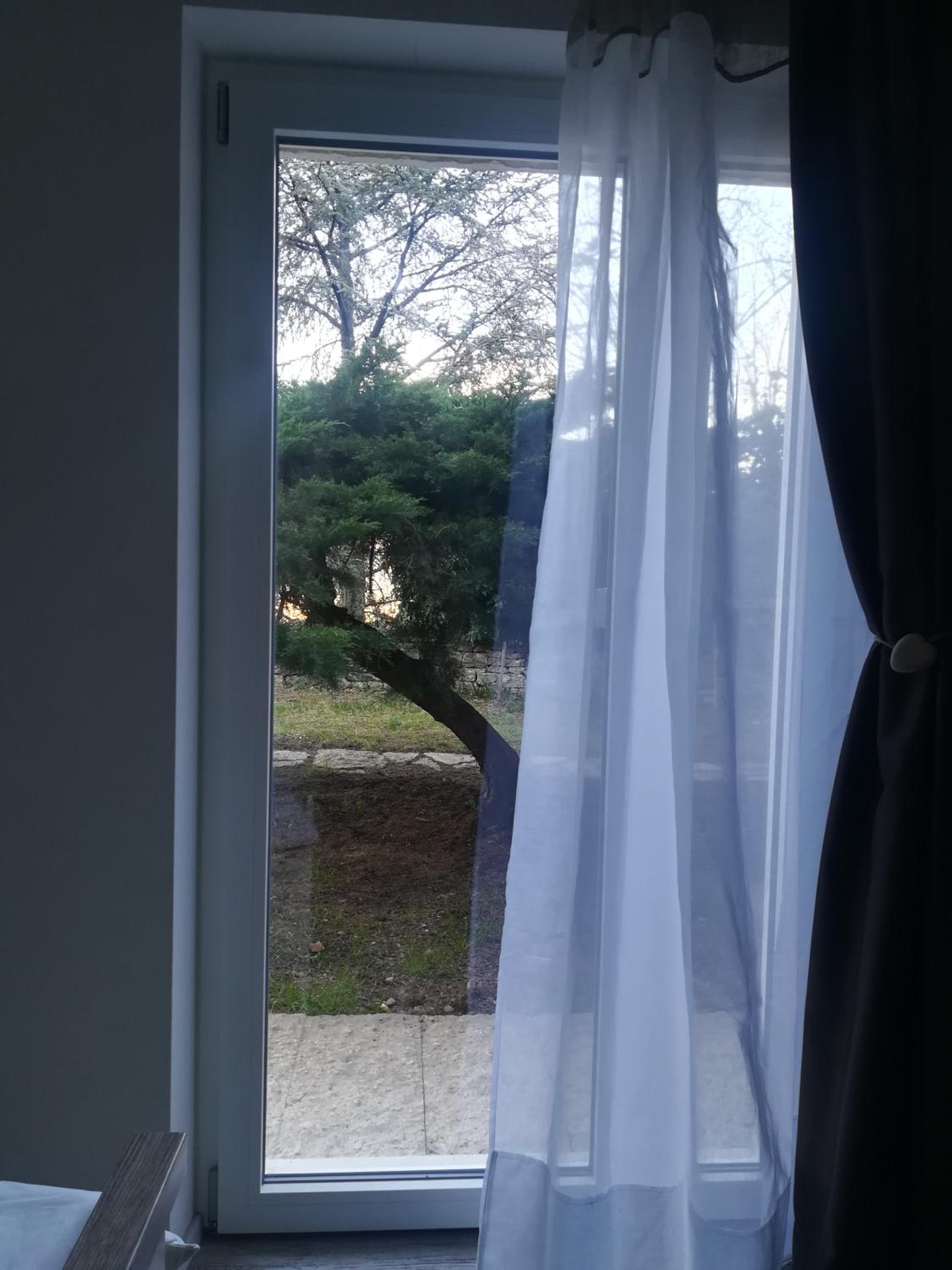 Photo 49