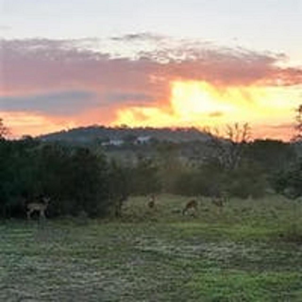 City on a Hill at Spring Creek