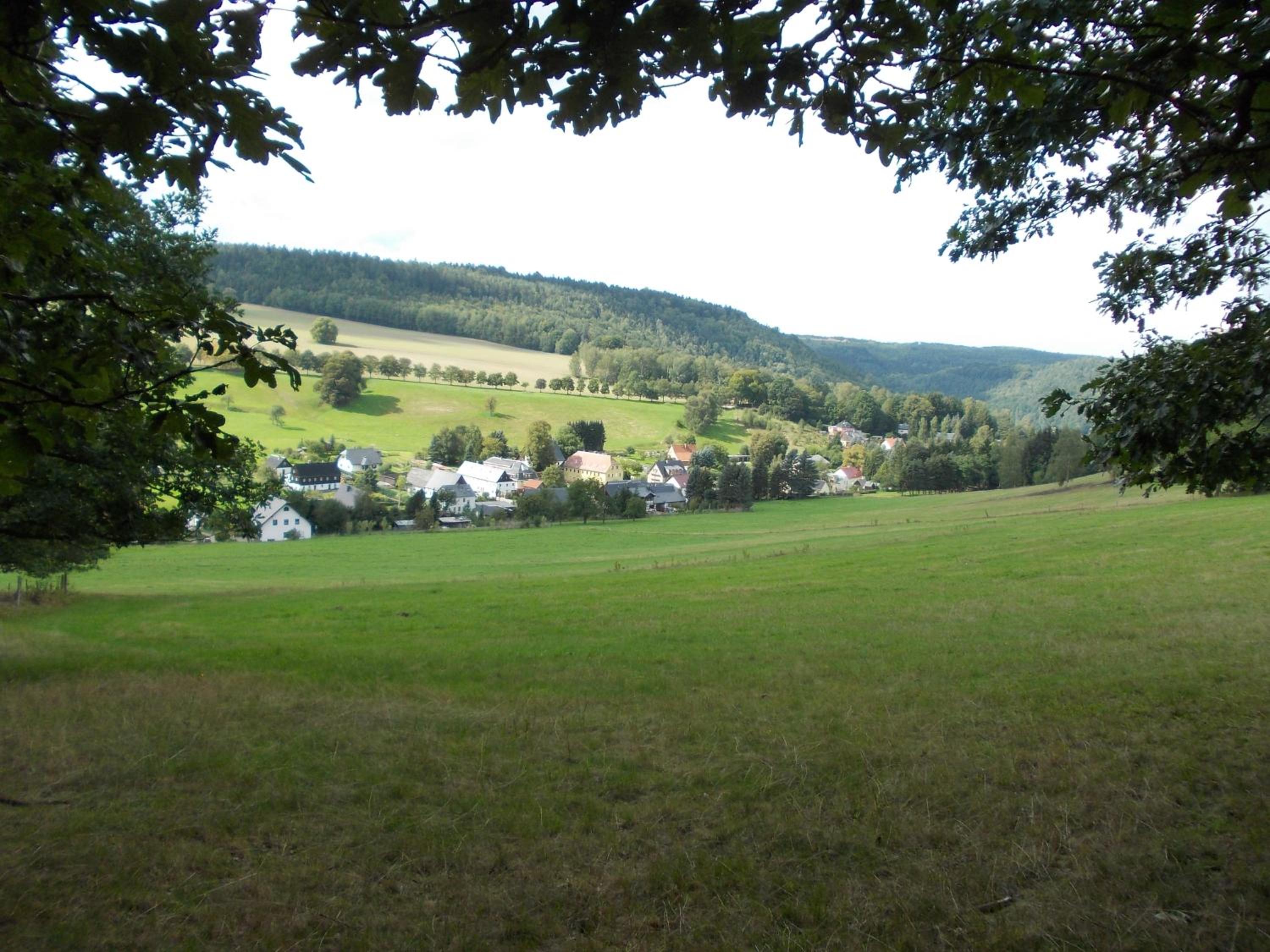 Photo 41