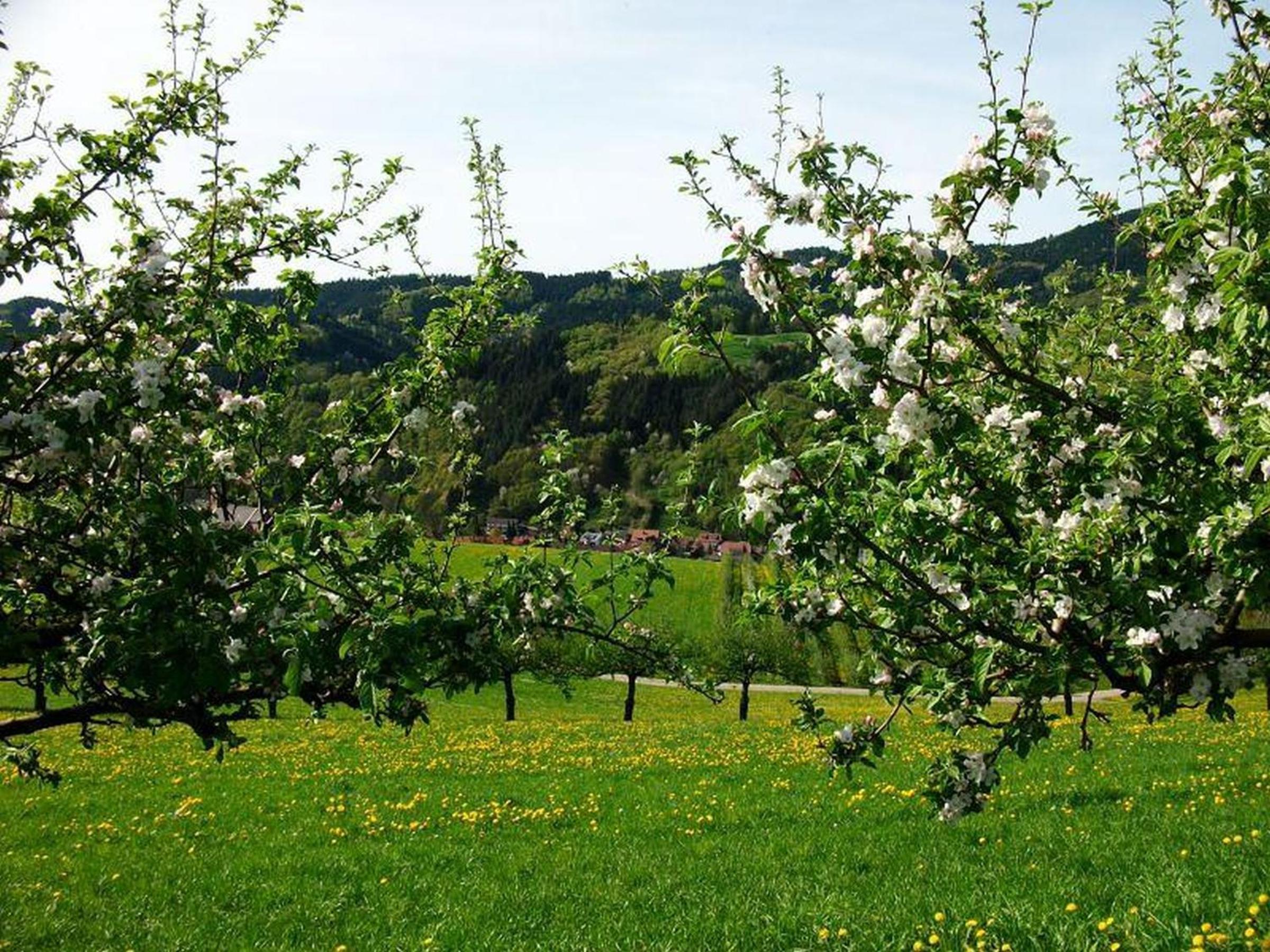 Pension Waldfrieden
