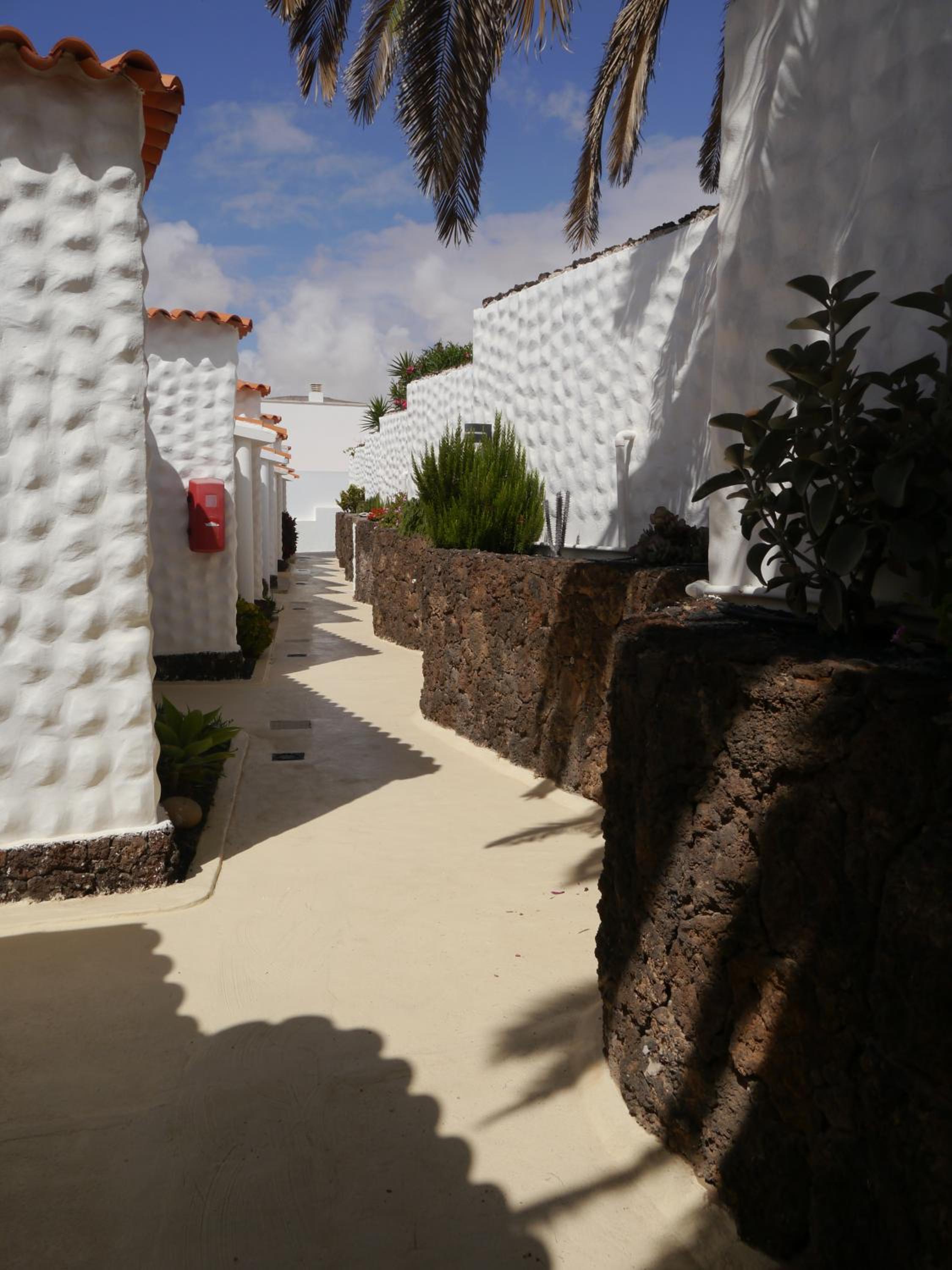 Casa Lirio photo 4