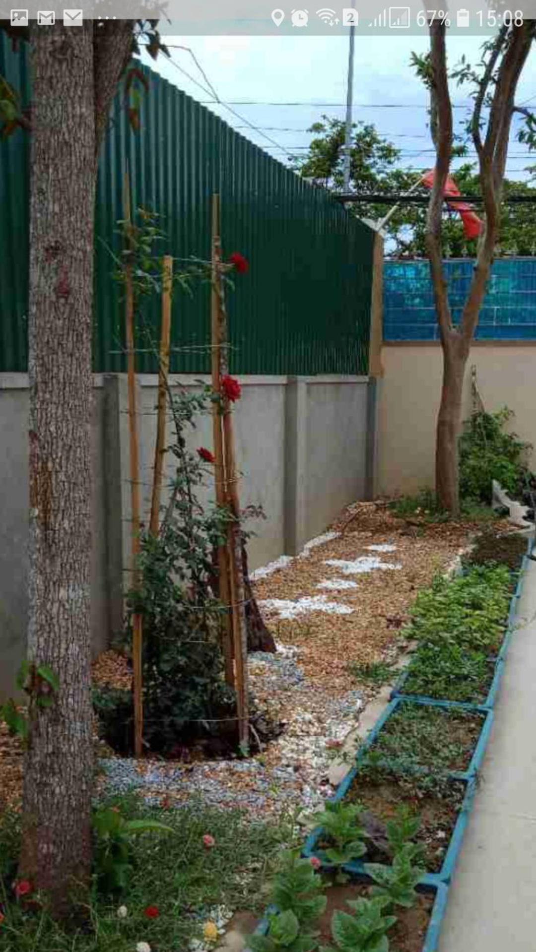 Photo 24