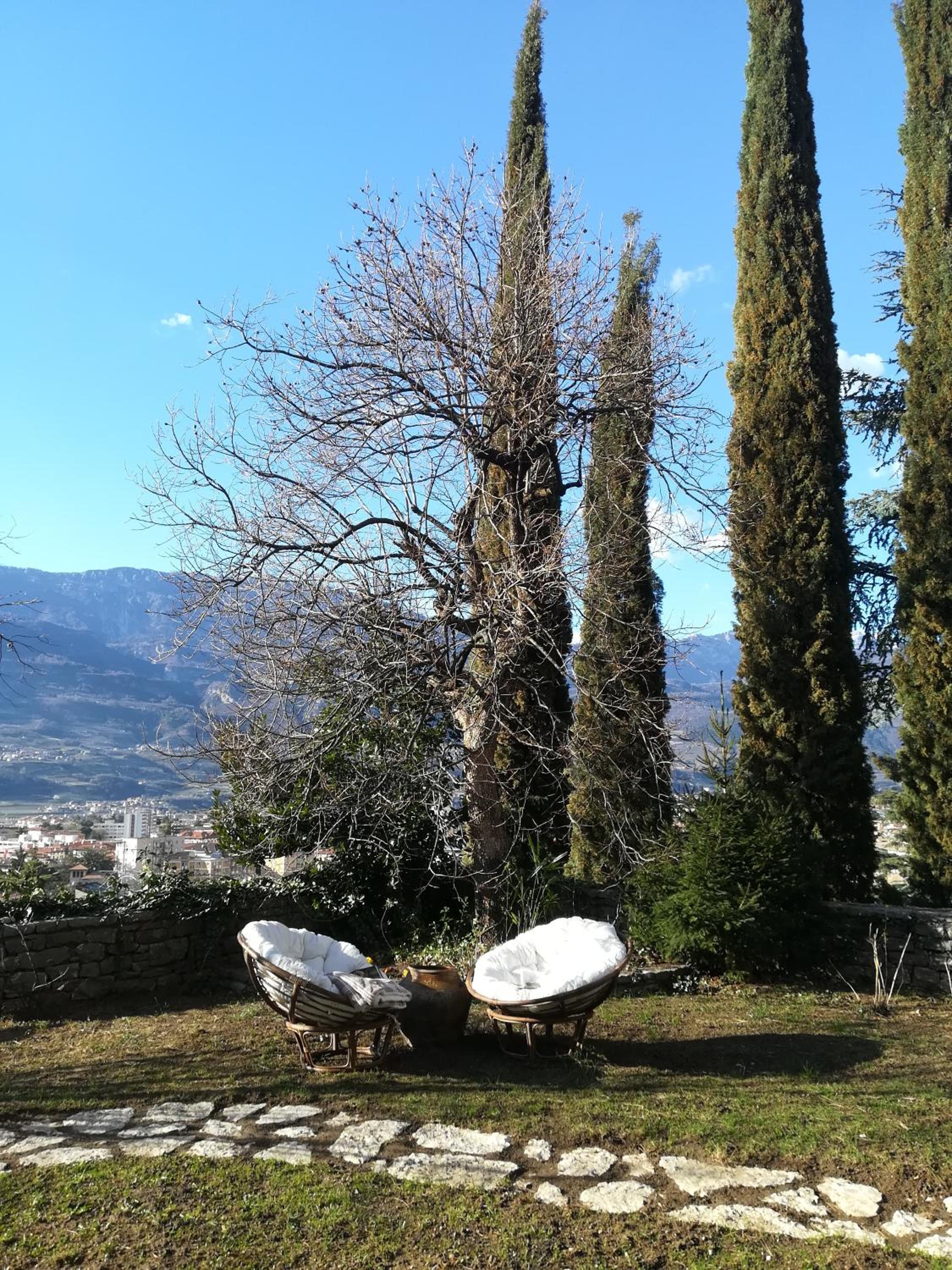 Photo 43