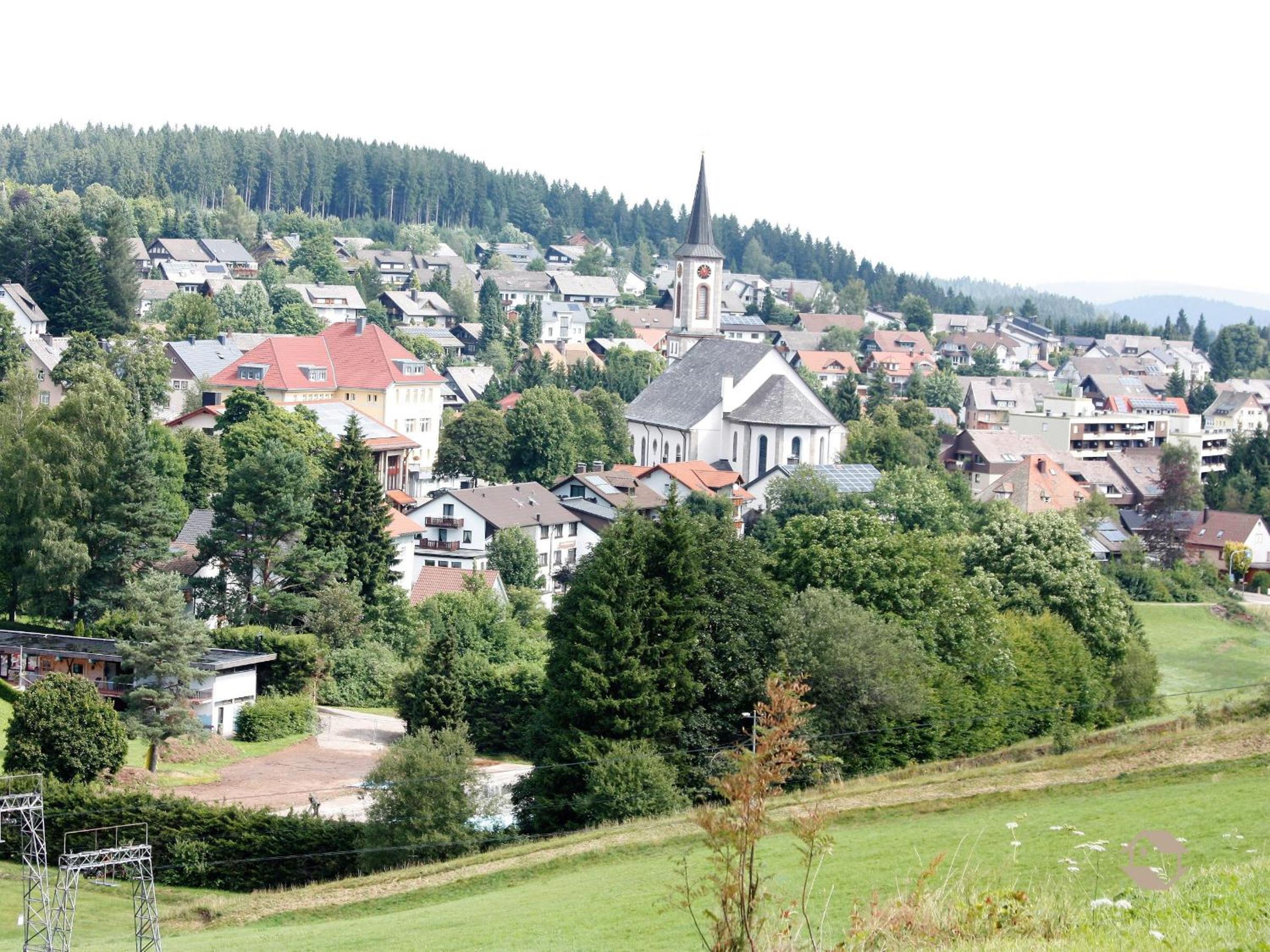Hornihäusle