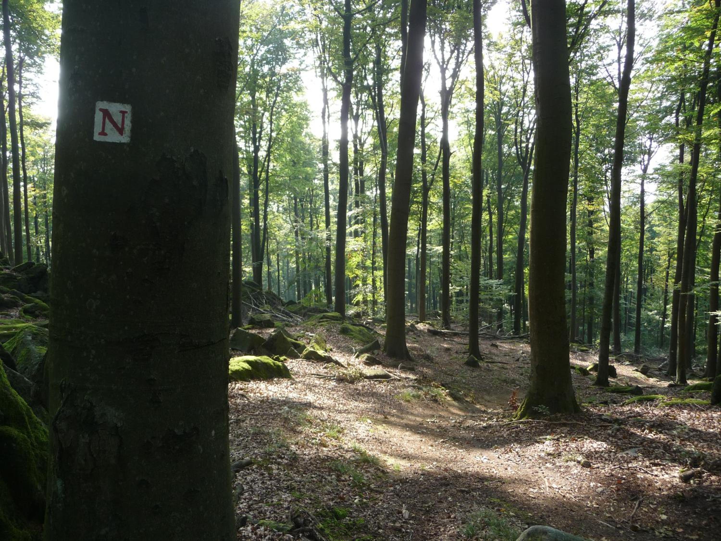 Photo 21