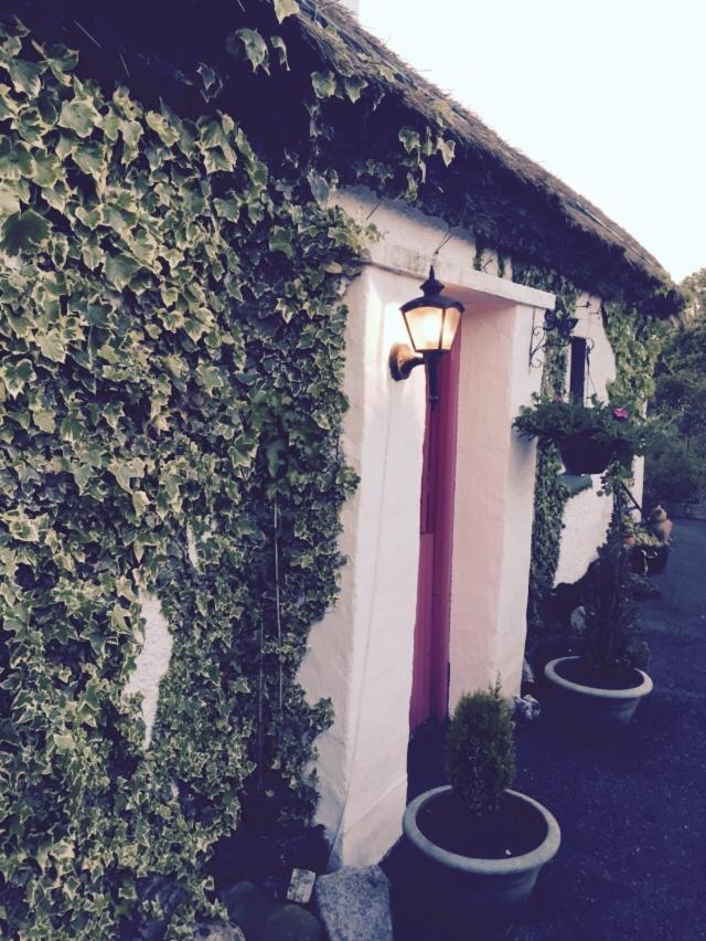 Teresas Cottage