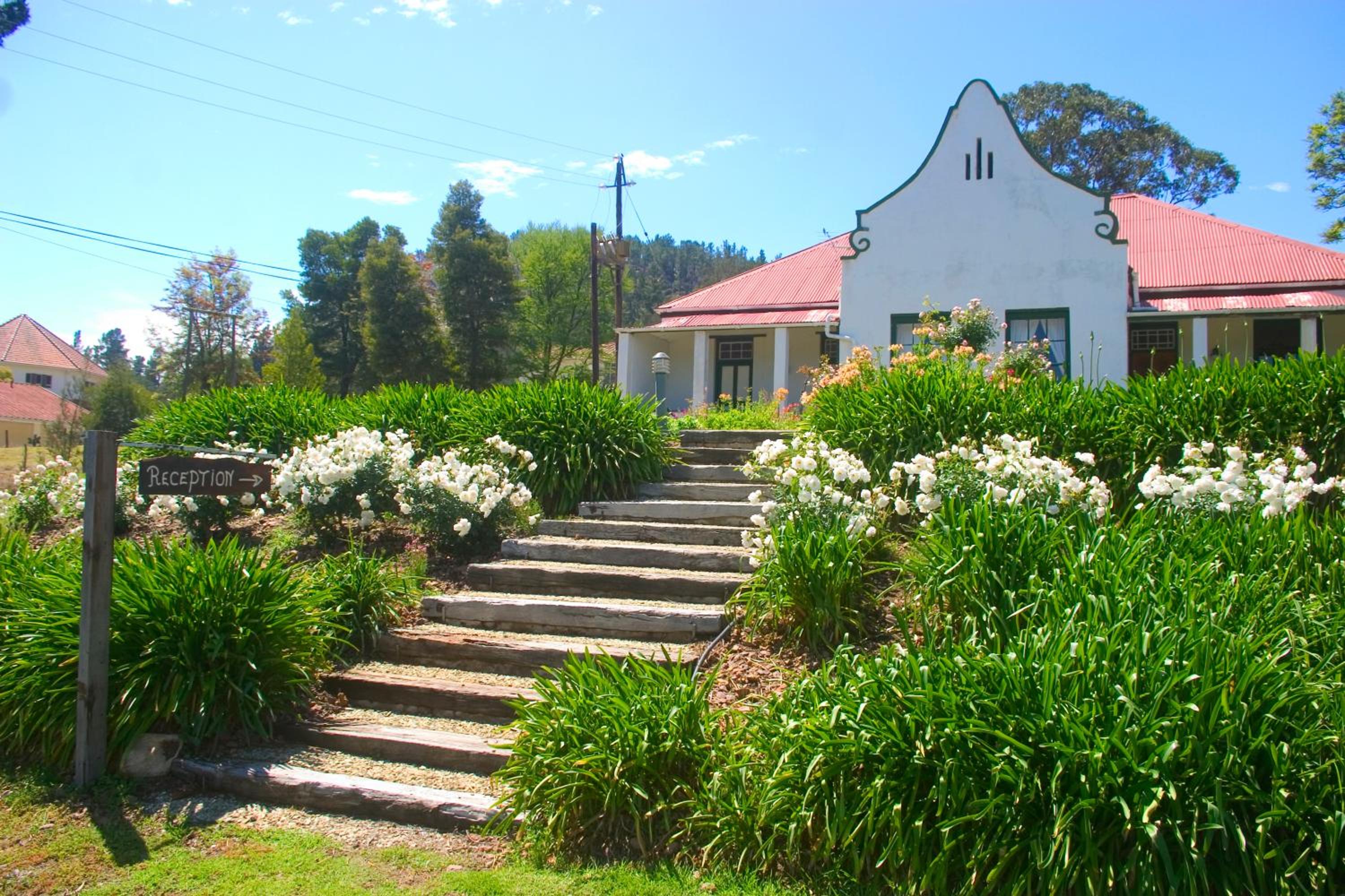 Over The Mountain Guest Farm