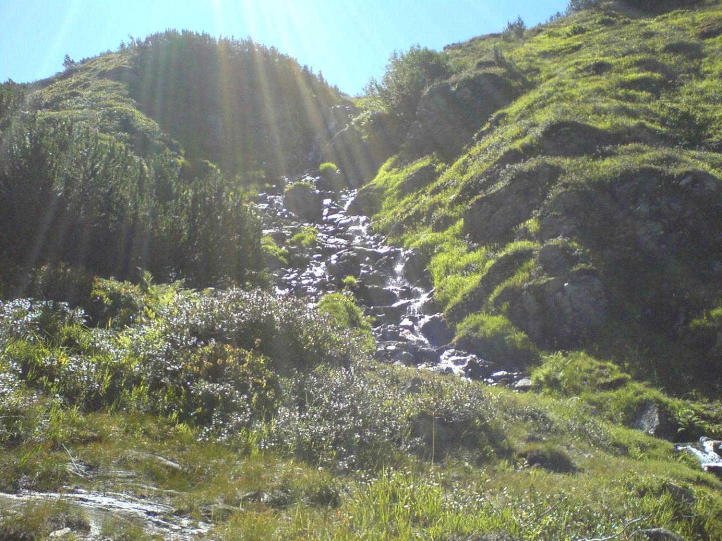 Riefli Aparts