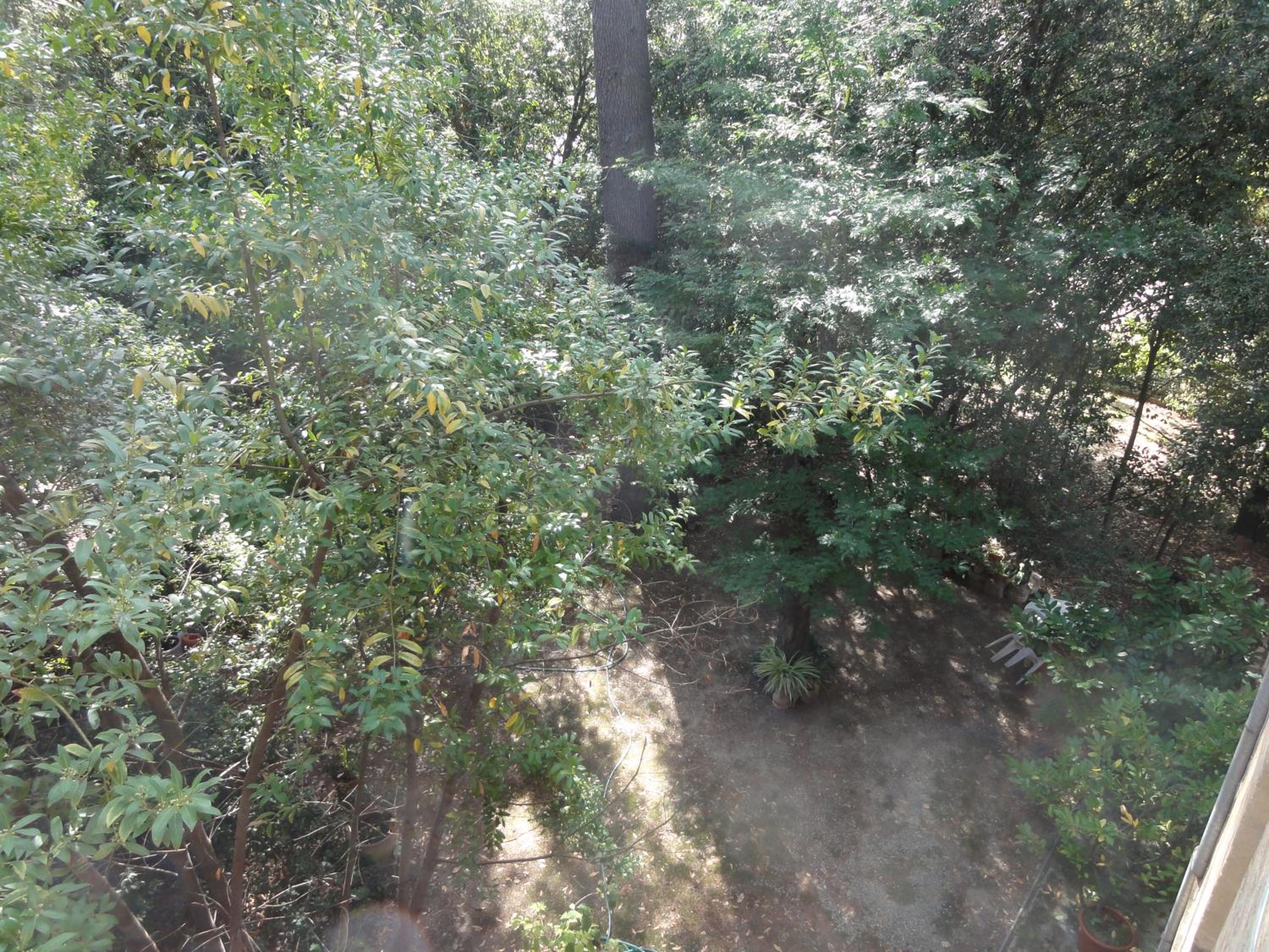 Photo 33