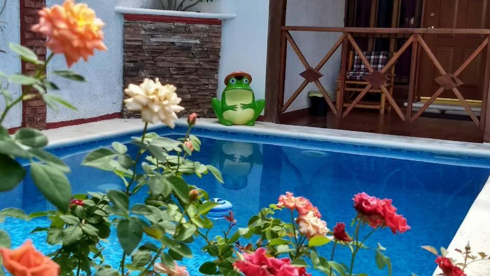 Casa de Descanso Lolha Bacalar view 4