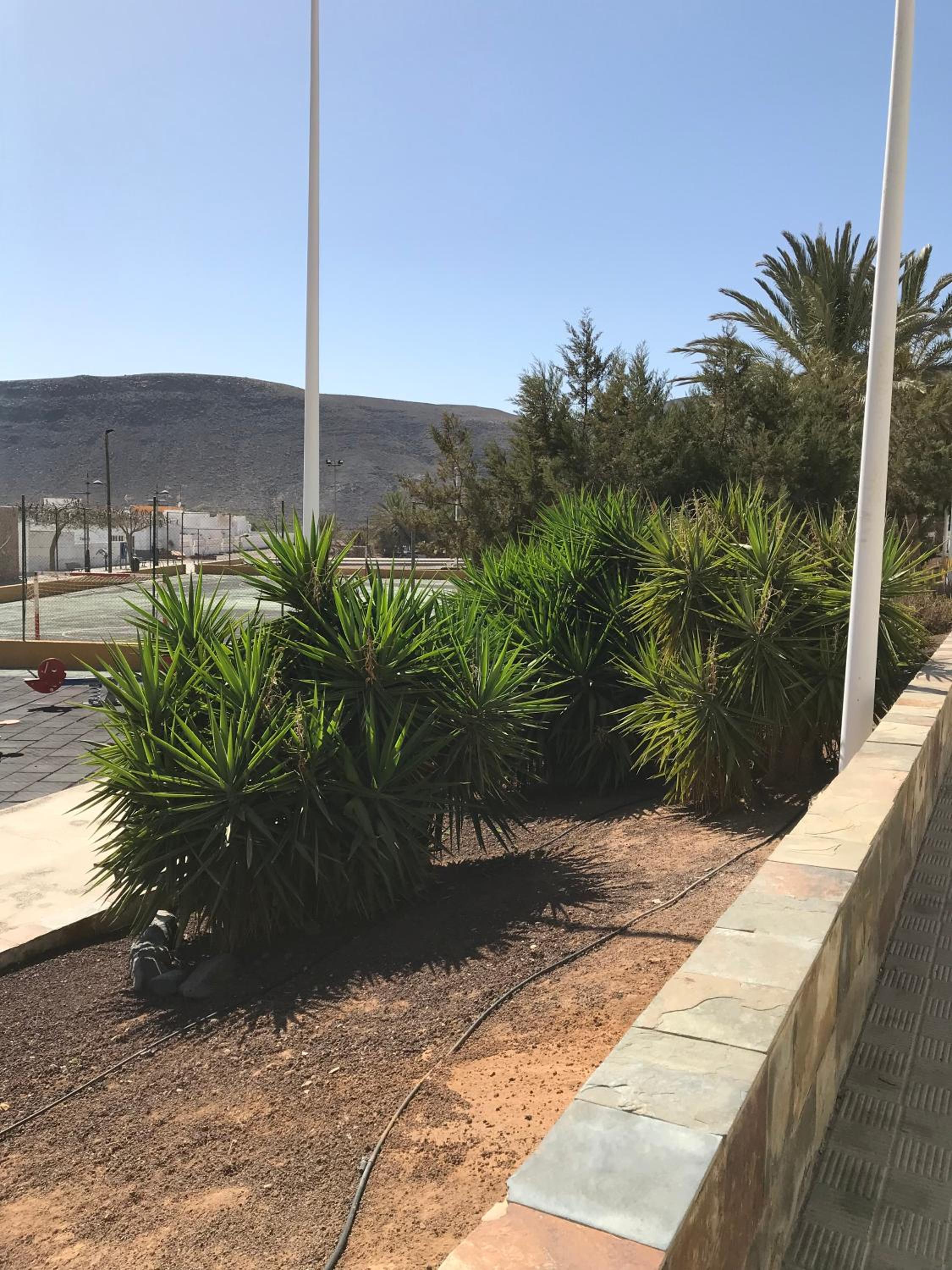 Cala Apartamentos