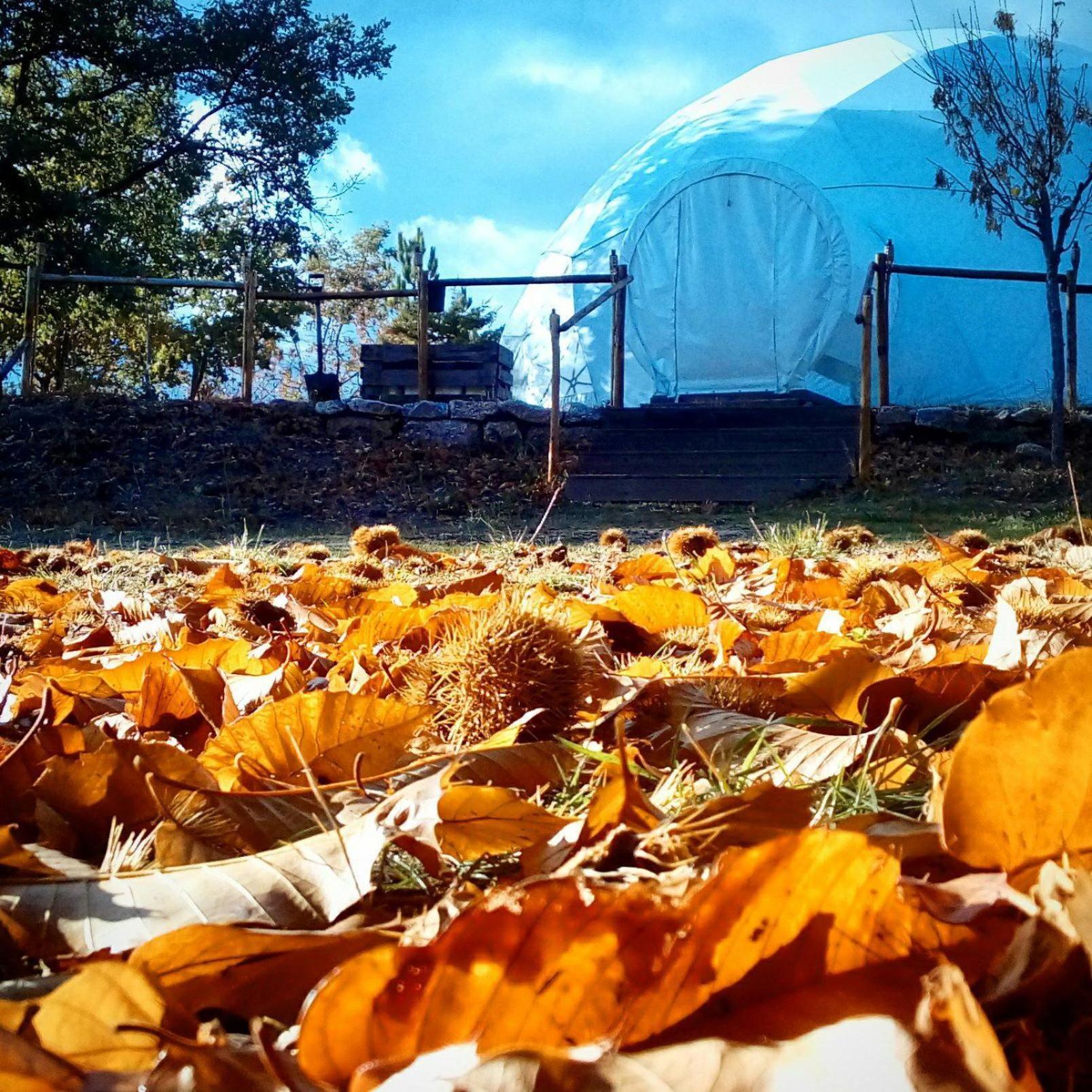 Natura Glamping