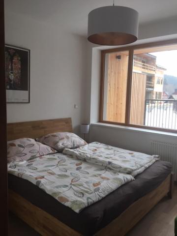Apartmán Čihadla