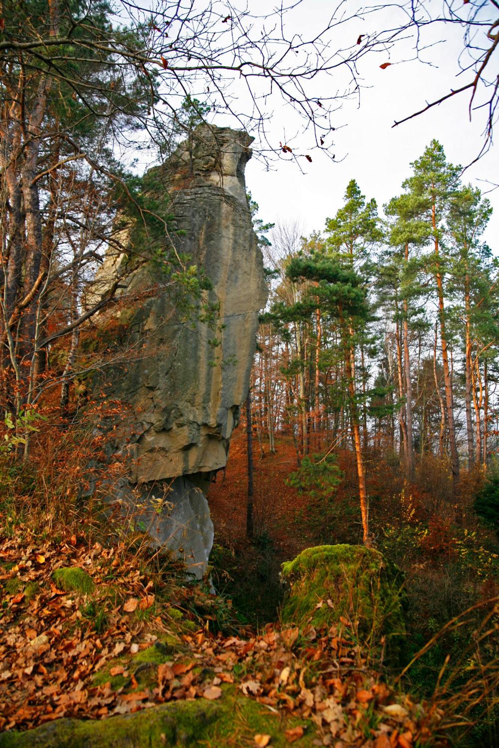 Photo 40