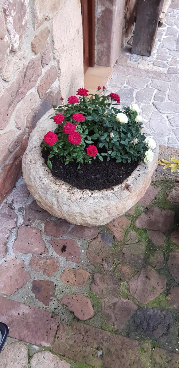 Casa Rural Pocotrigo