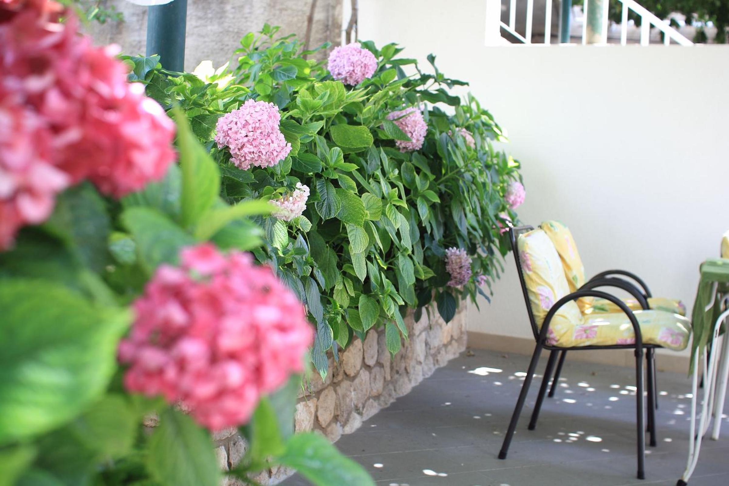 Guesthouse Victoria