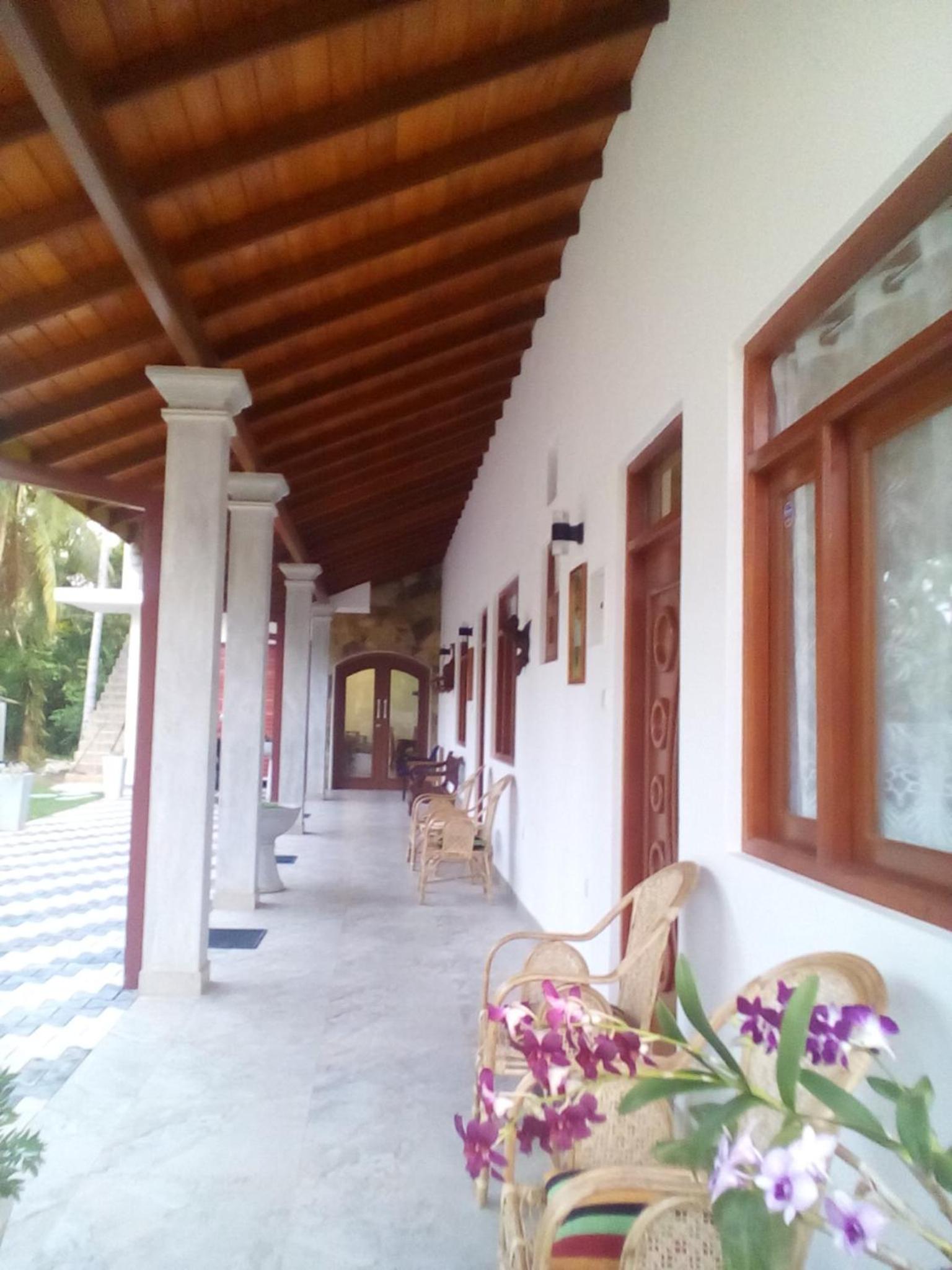 Orchid Dream view 3