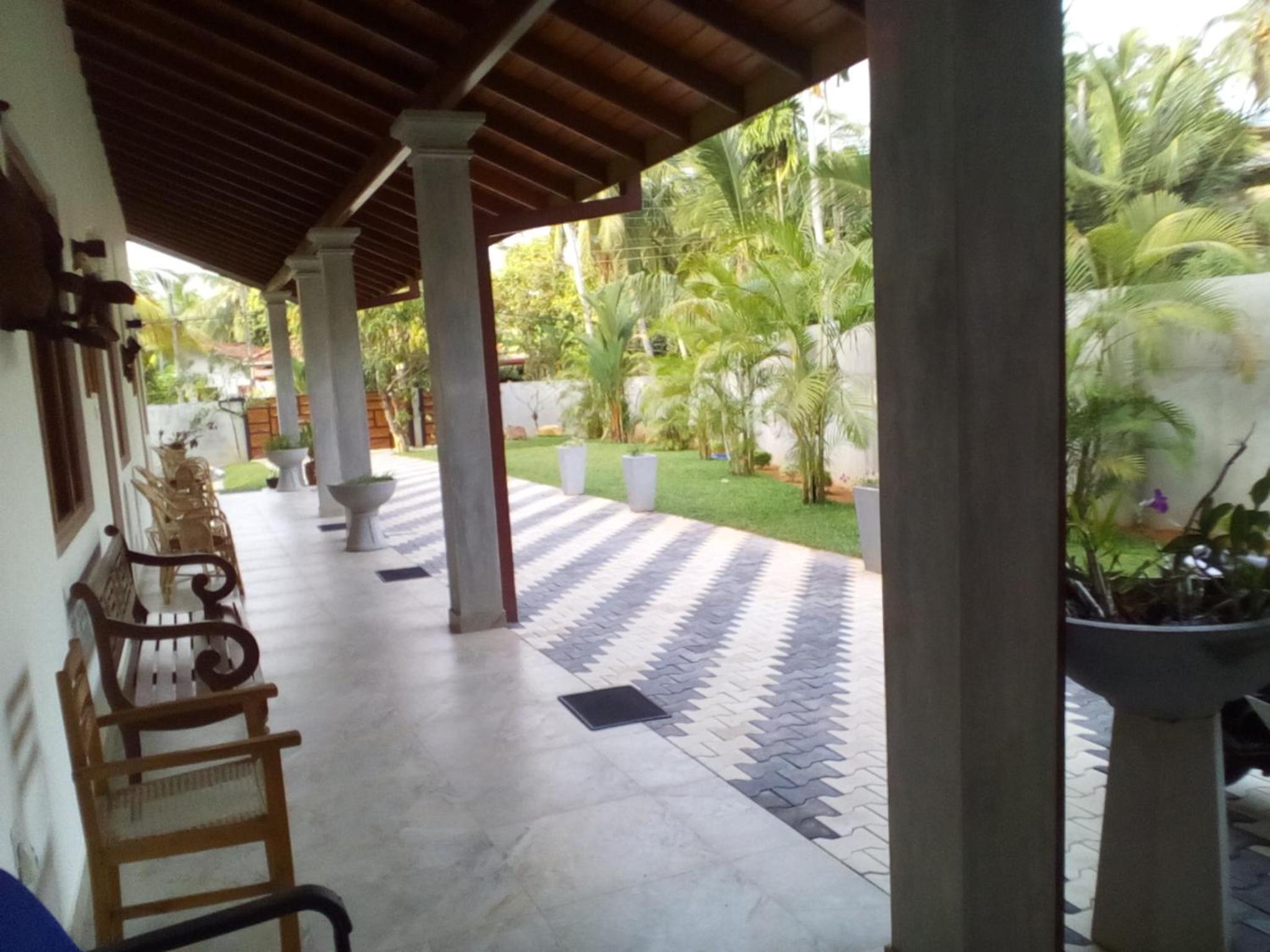 Orchid Dream view 5