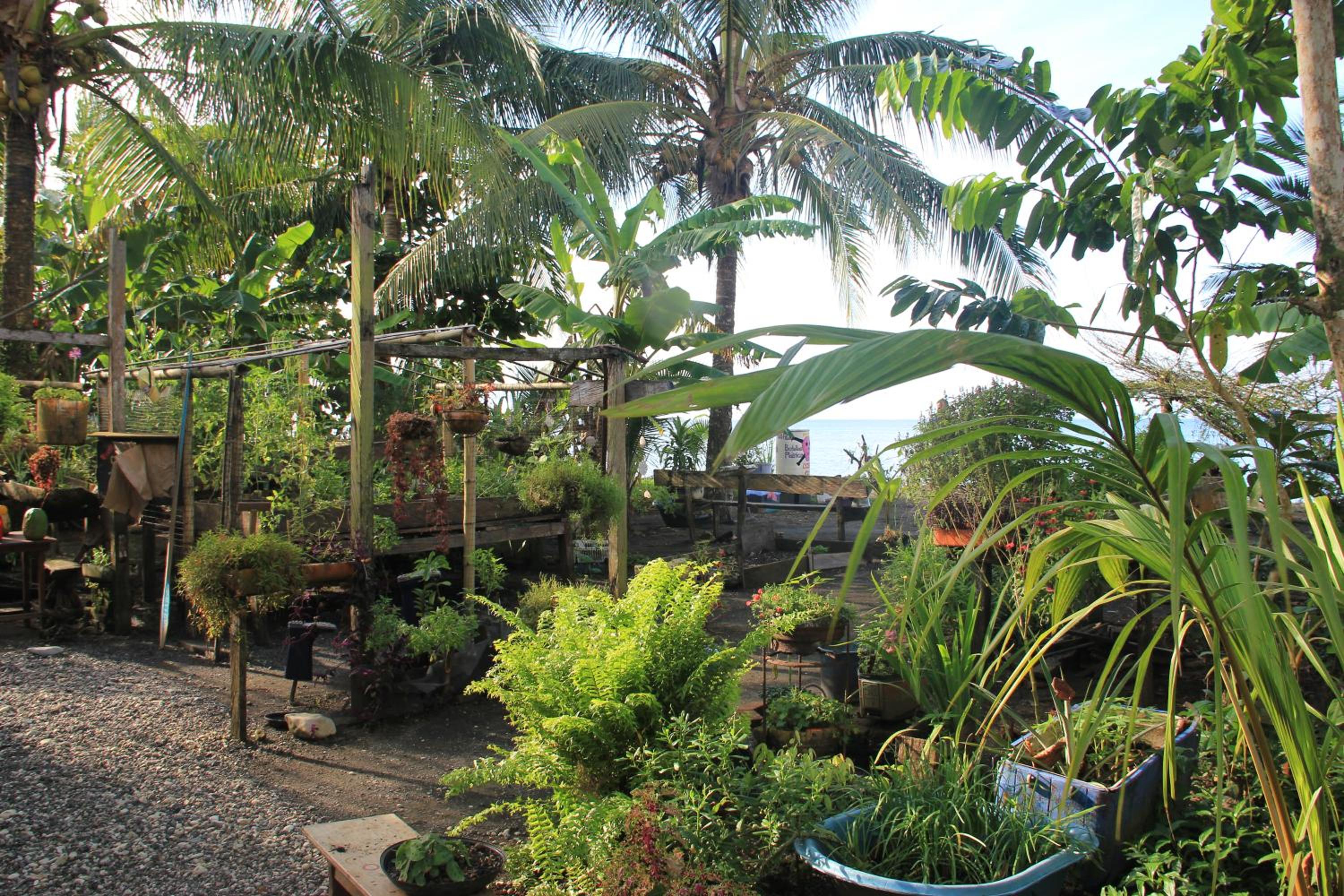 Casa Colibrí