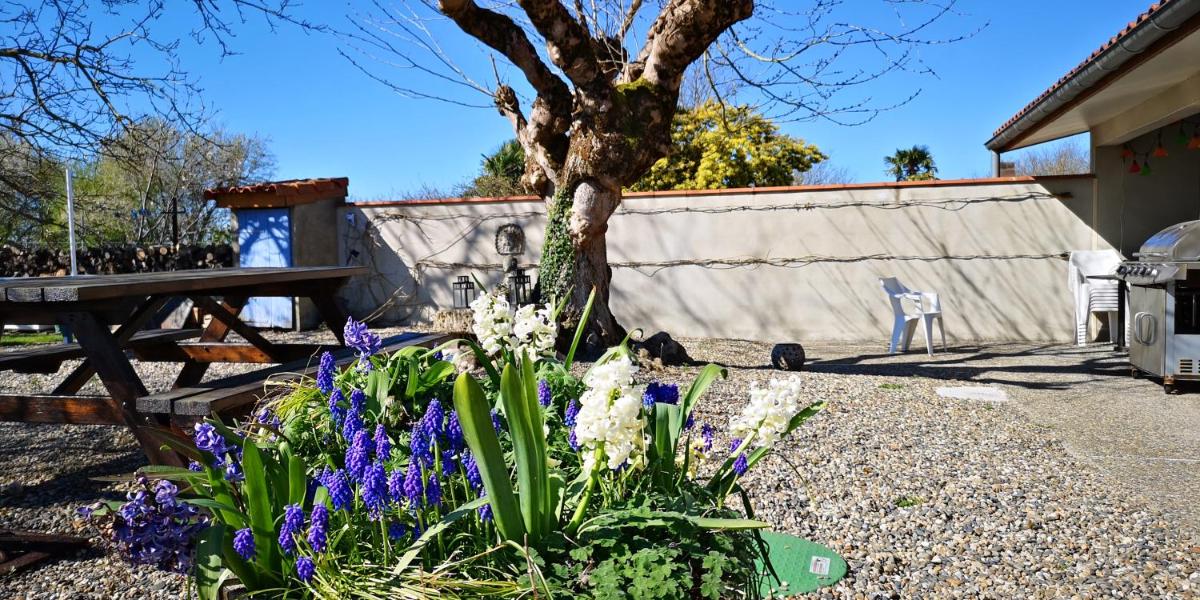 B&B Douce France