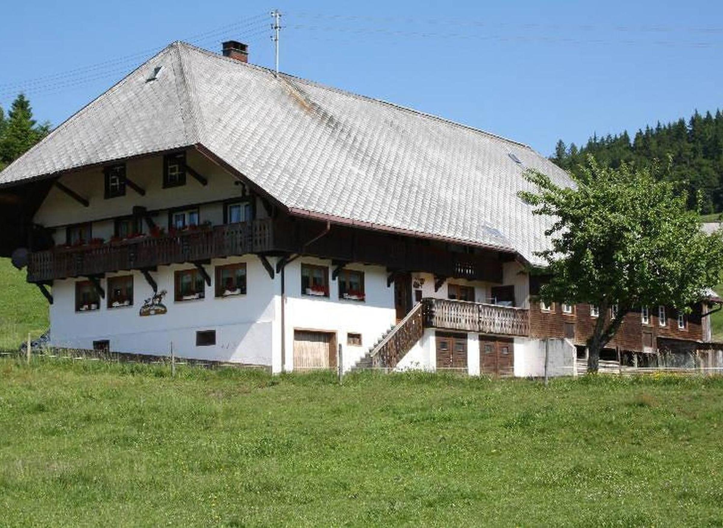 Photo 32