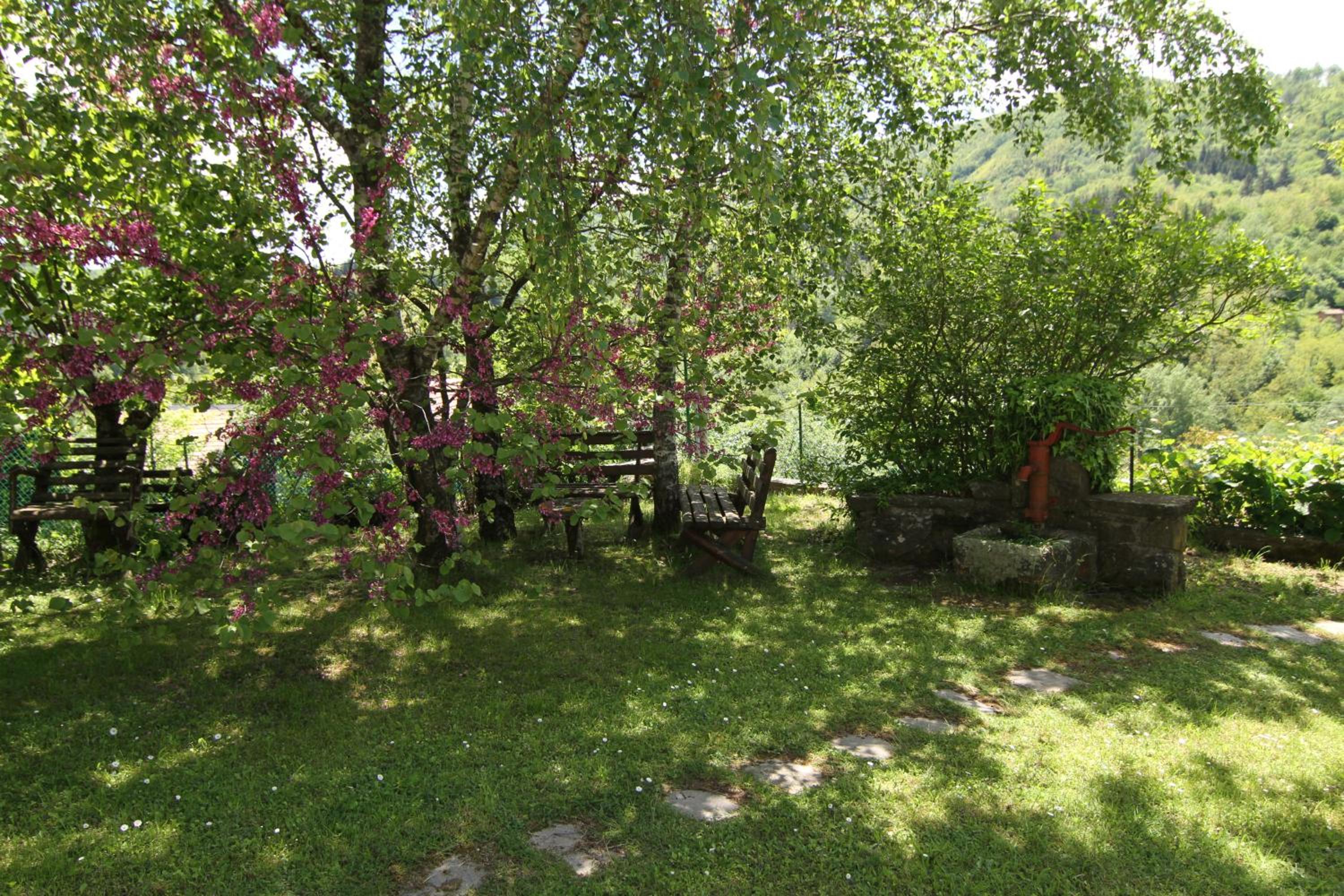 Photo 27