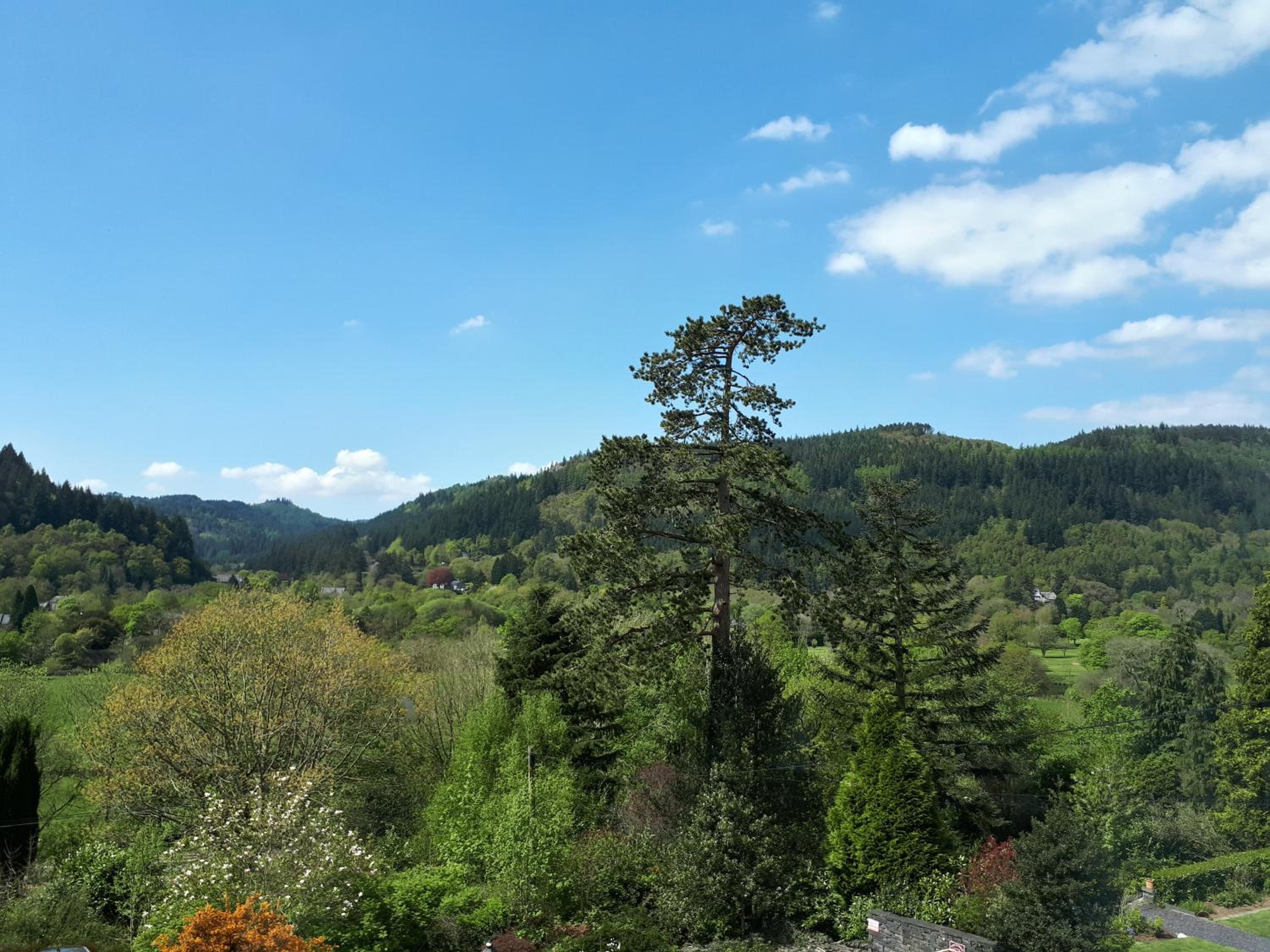 Aberconwy House B&B