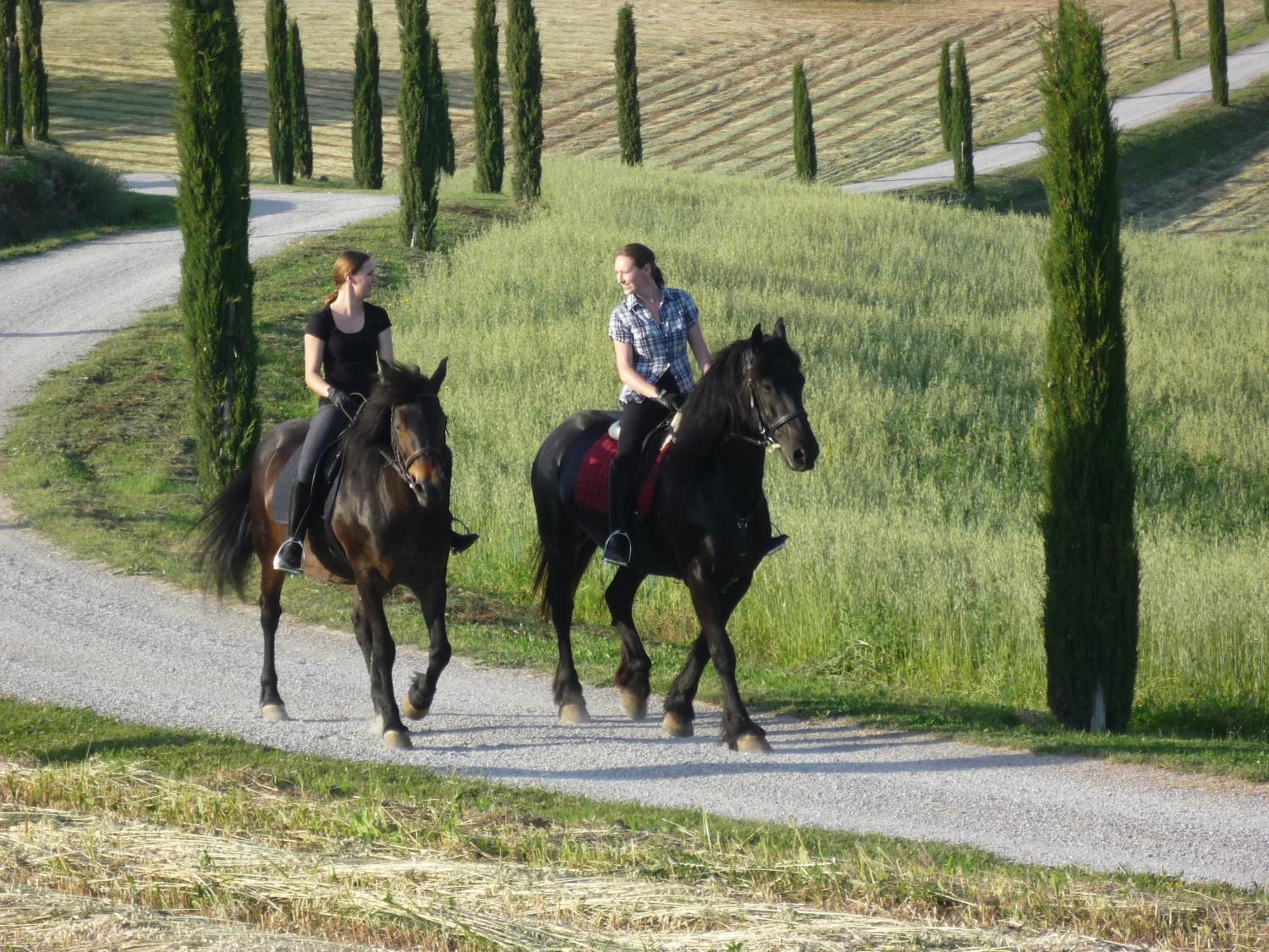 I Puntoni Agriturismo