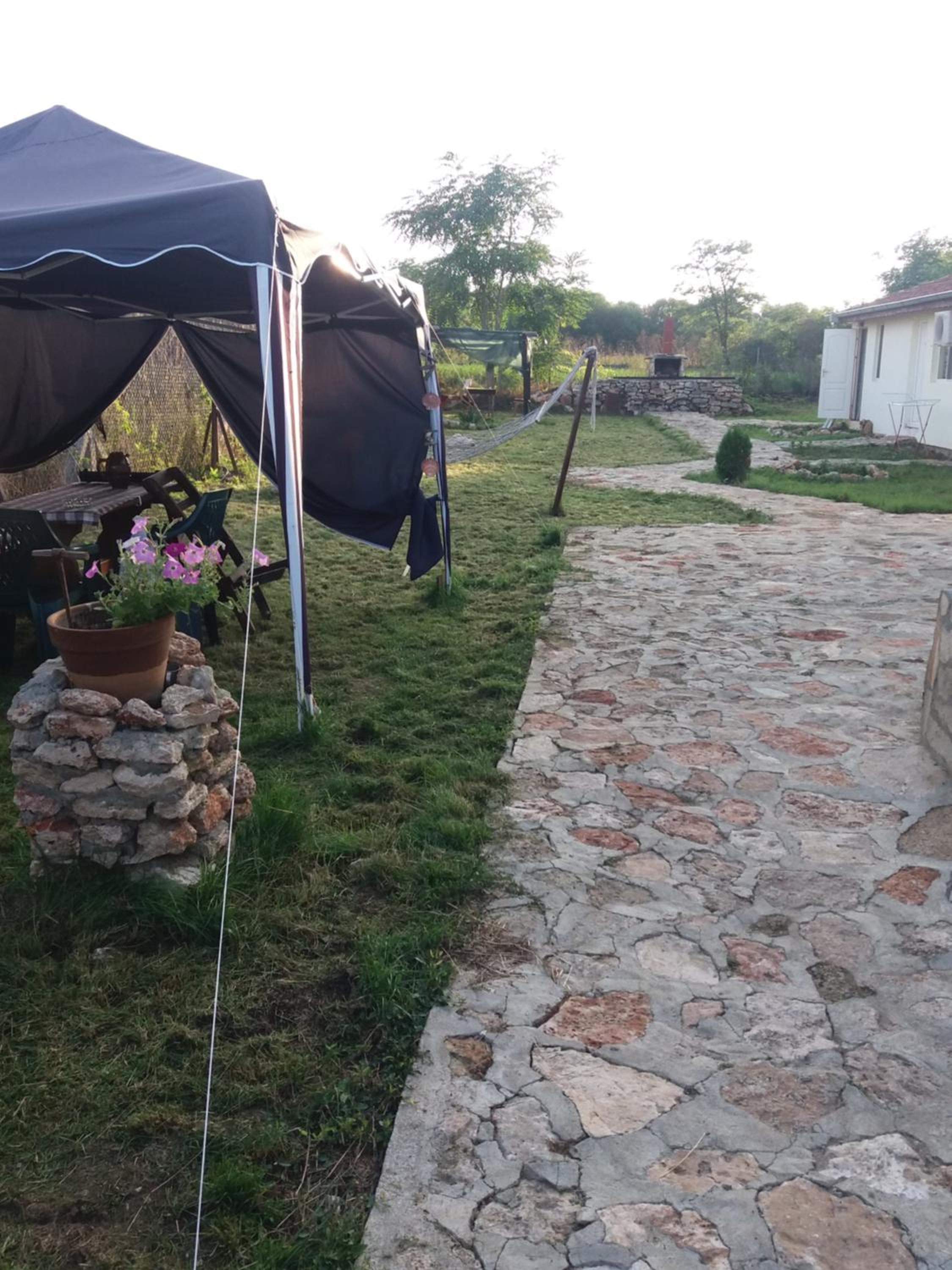 Guest House Viola