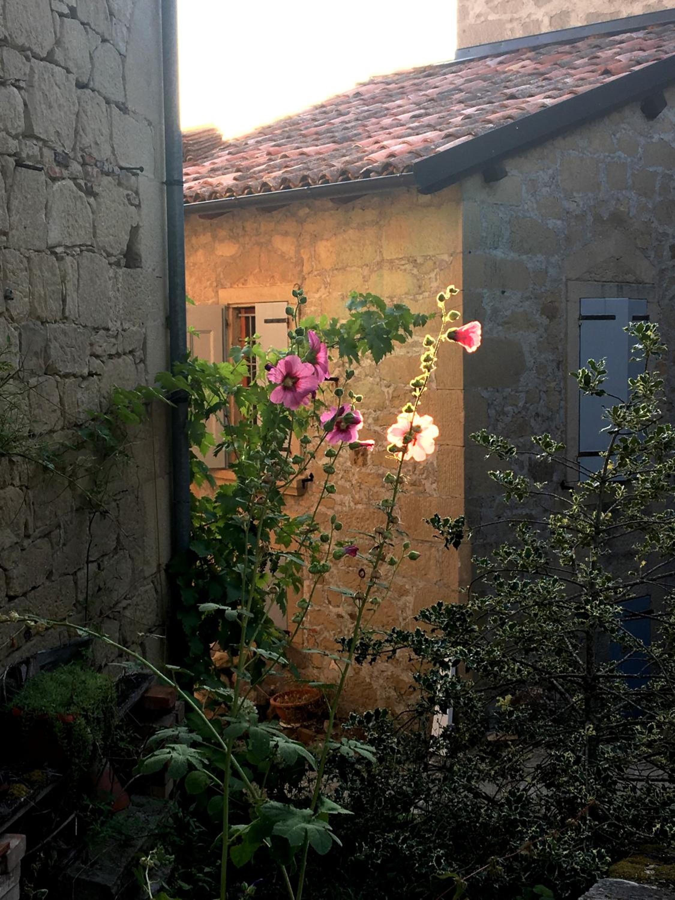 Photo 25