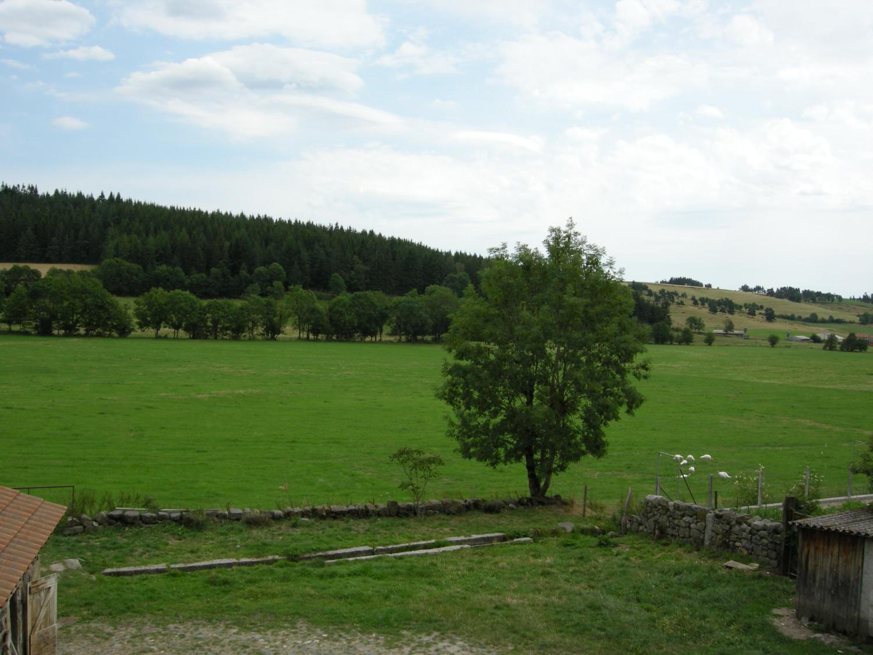 Gite a la ferme view 4