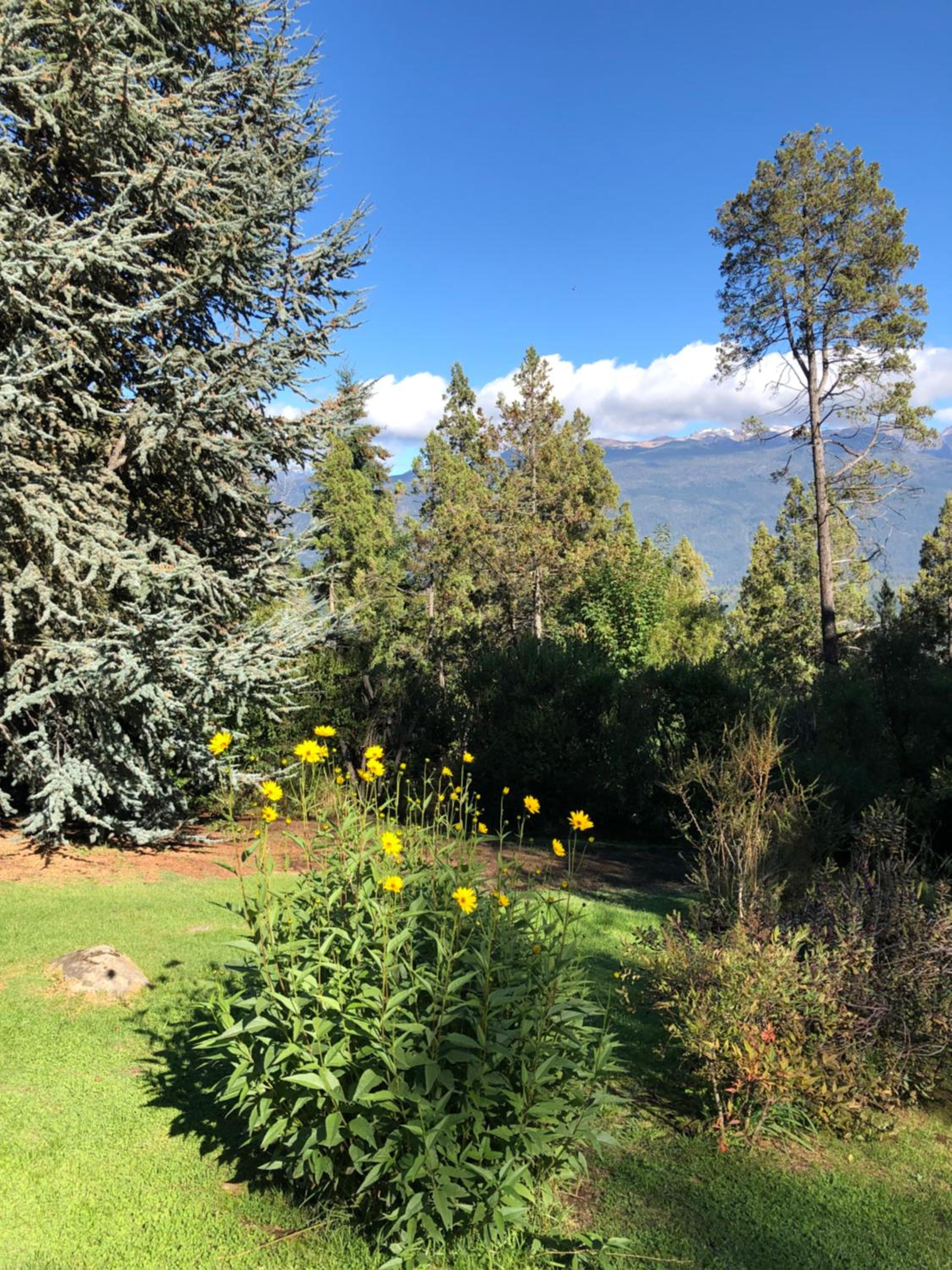 Altos del Sur Cabañas de Montaña
