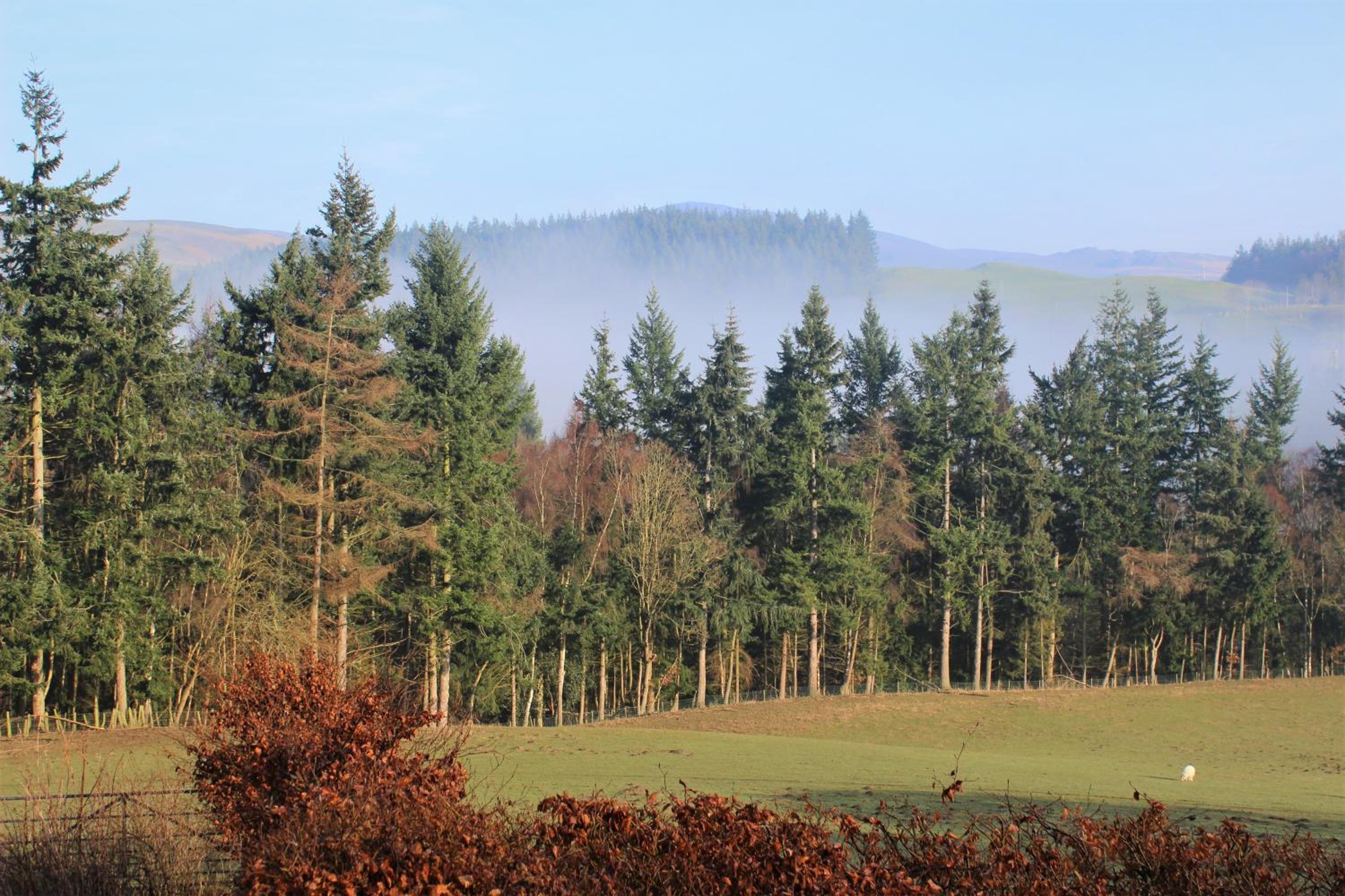 Dee Valley Cottages