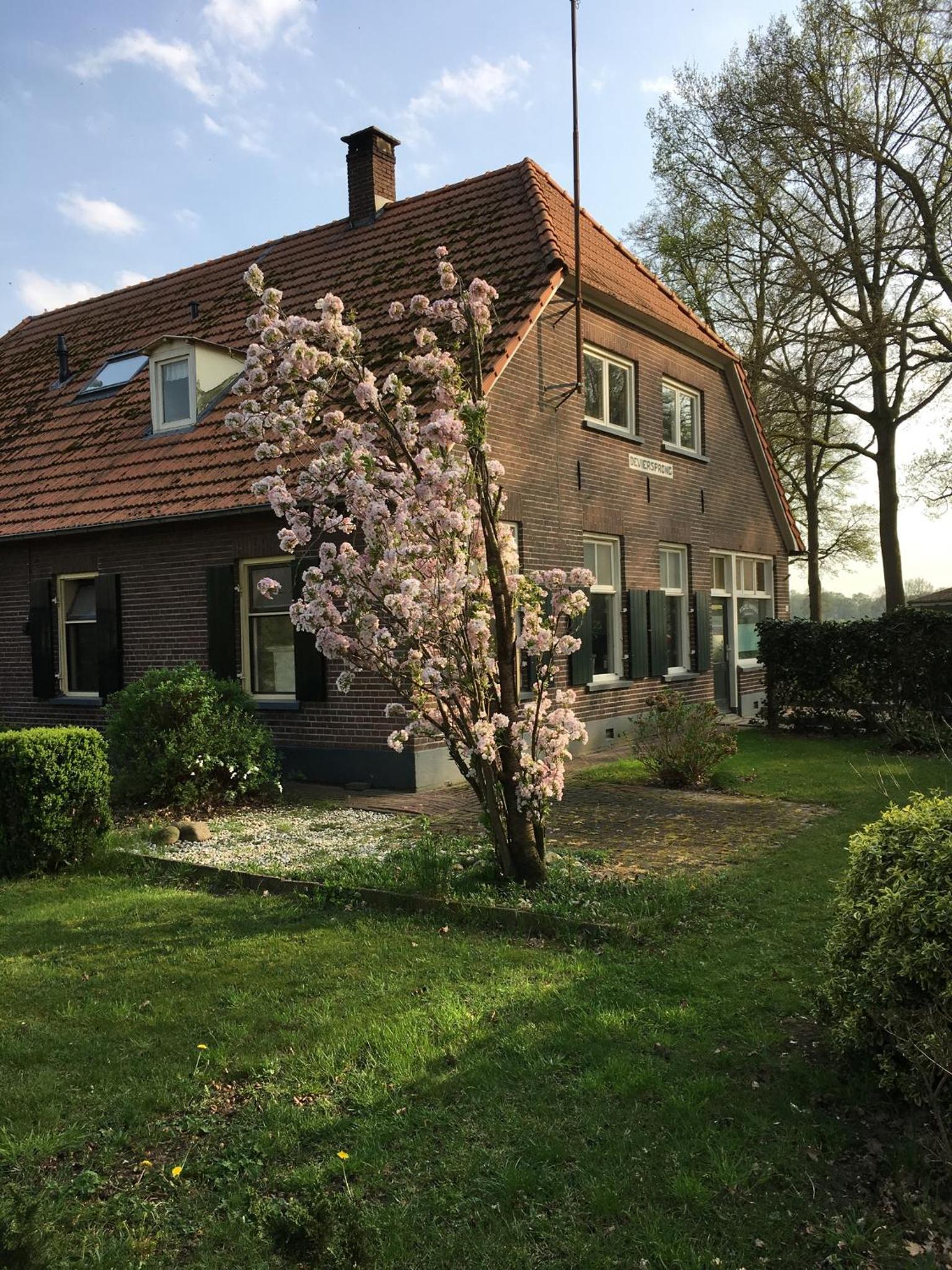 De Viersprong view 2
