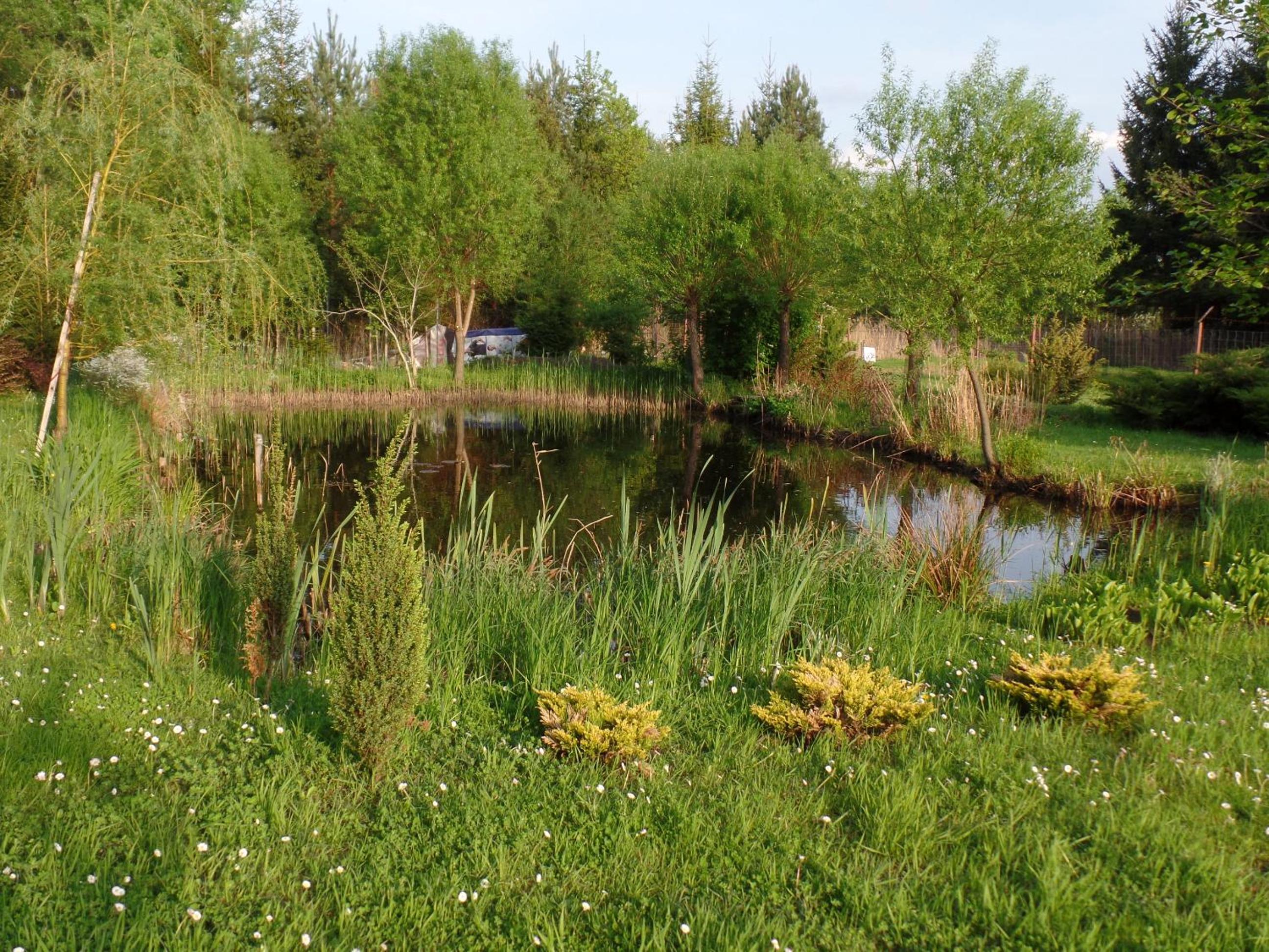 Photo 46