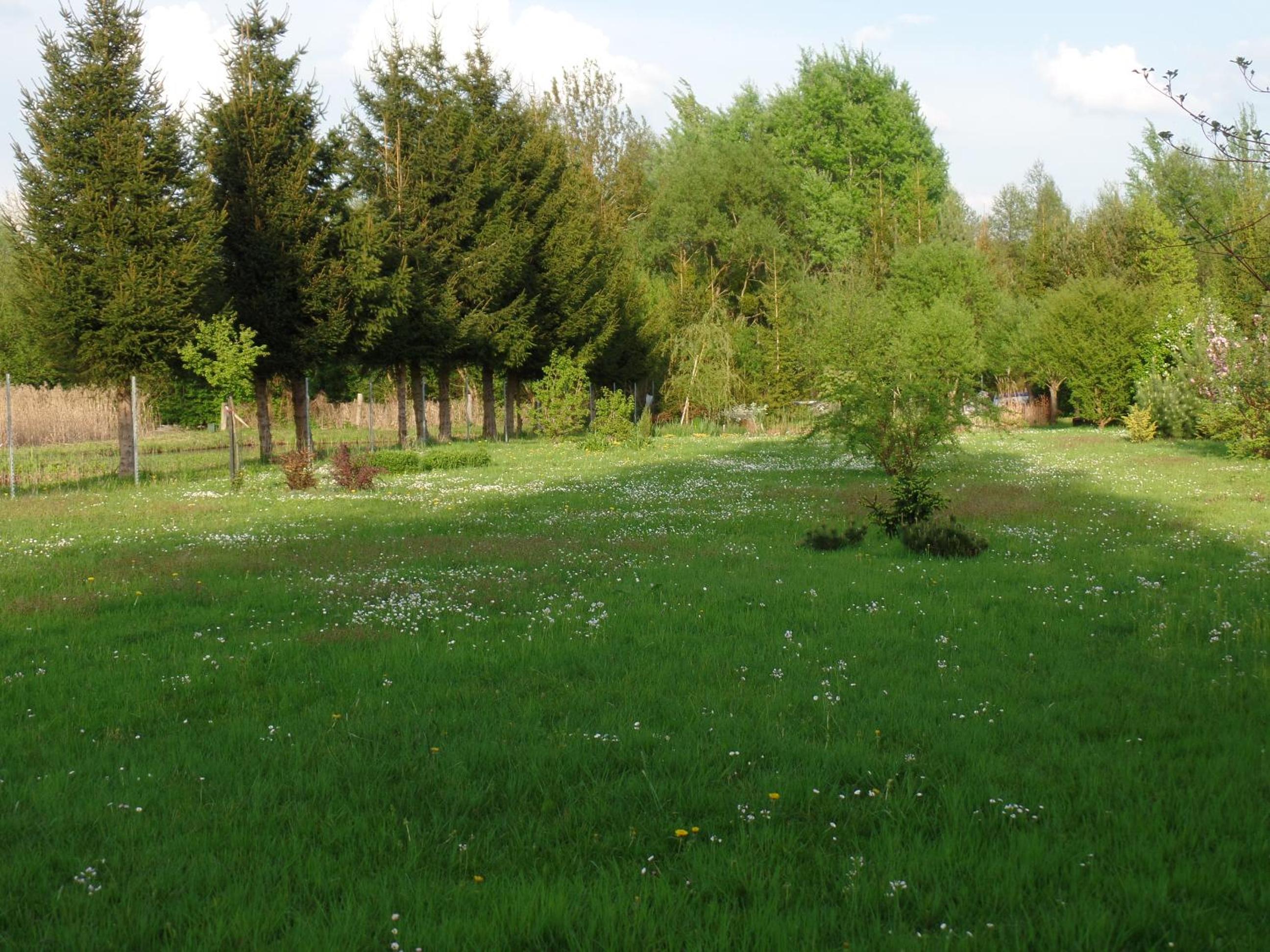 Photo 49