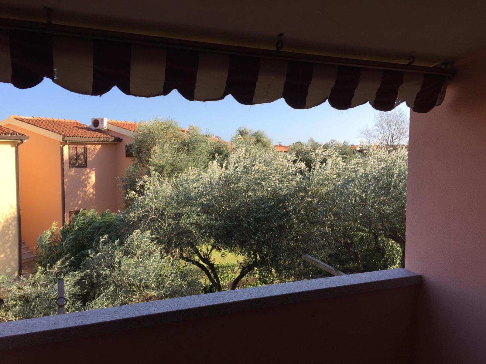 Bilocale Residence Gli Ulivi San Teodoro view 4