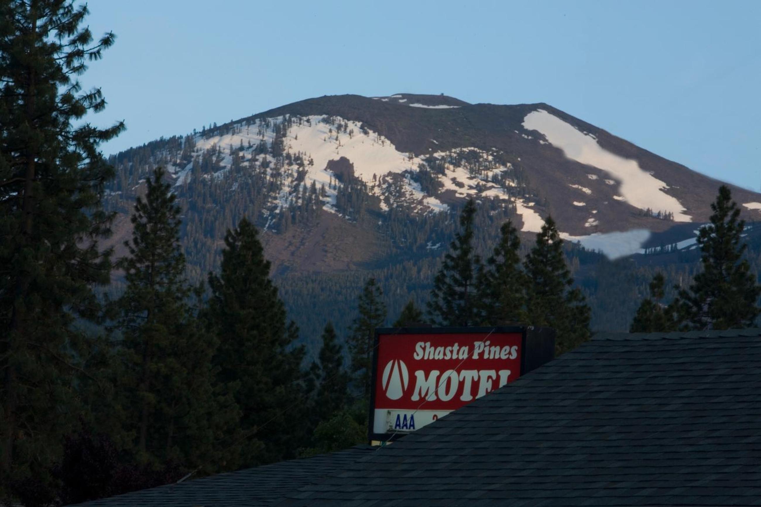 Shasta Pines Motel & Suites