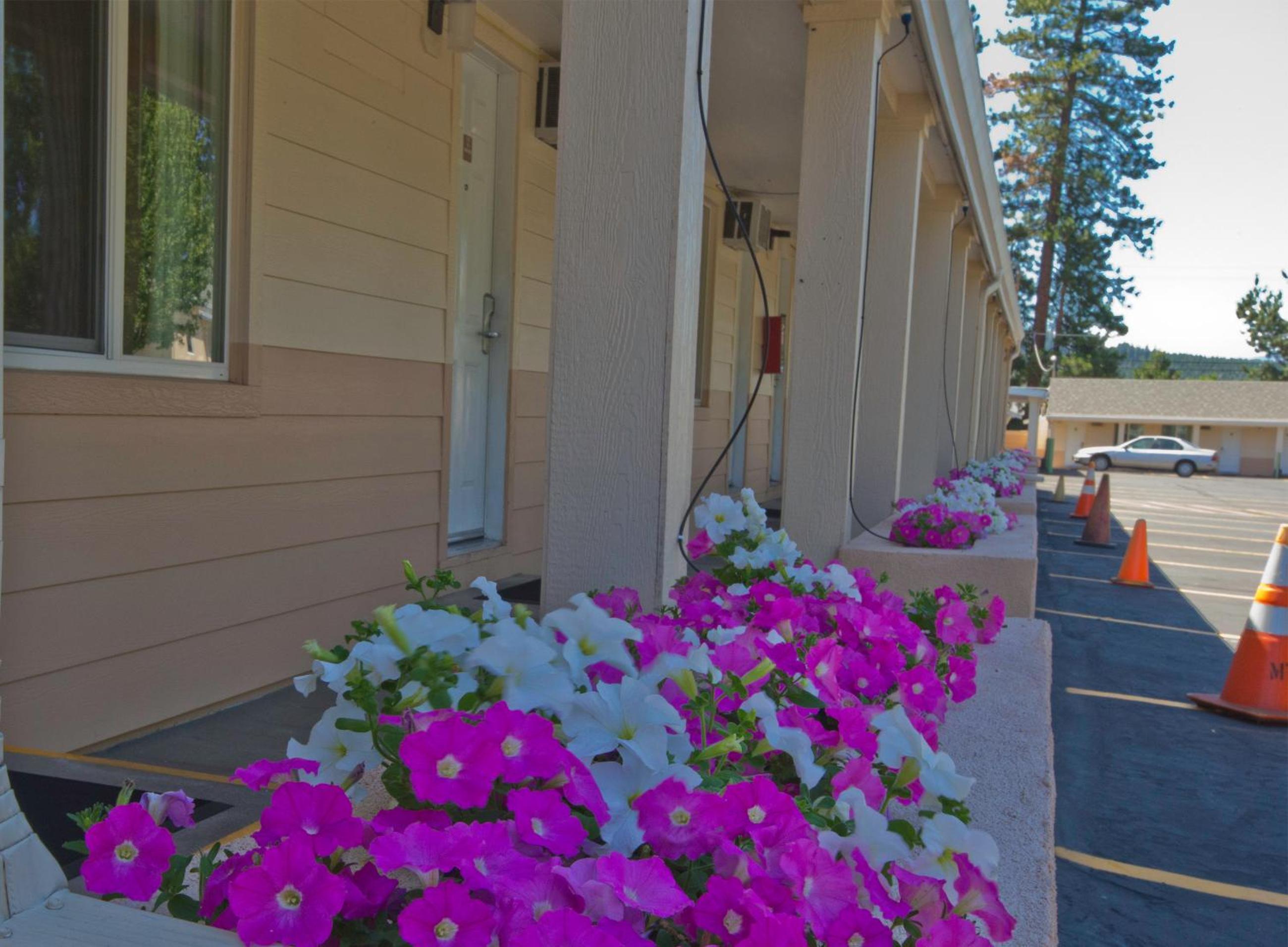 Shasta Pines Motel & Suites