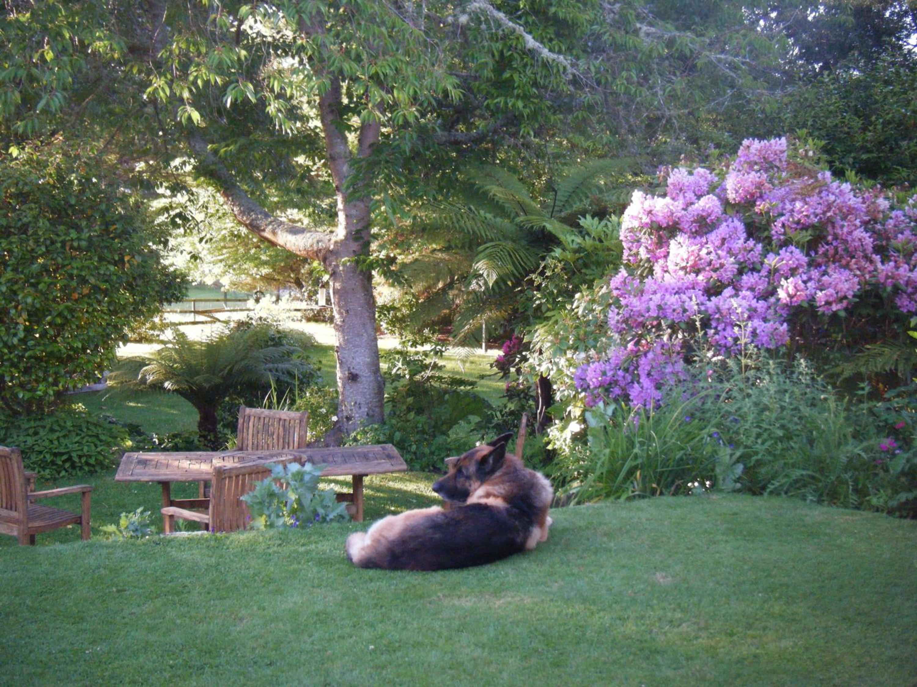 TWYNHAM at Kinloch view 5