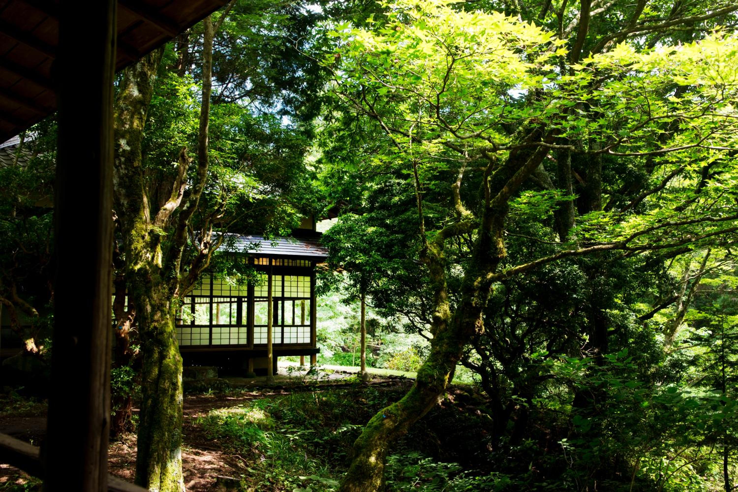 Hakone Retreat villa 1/f