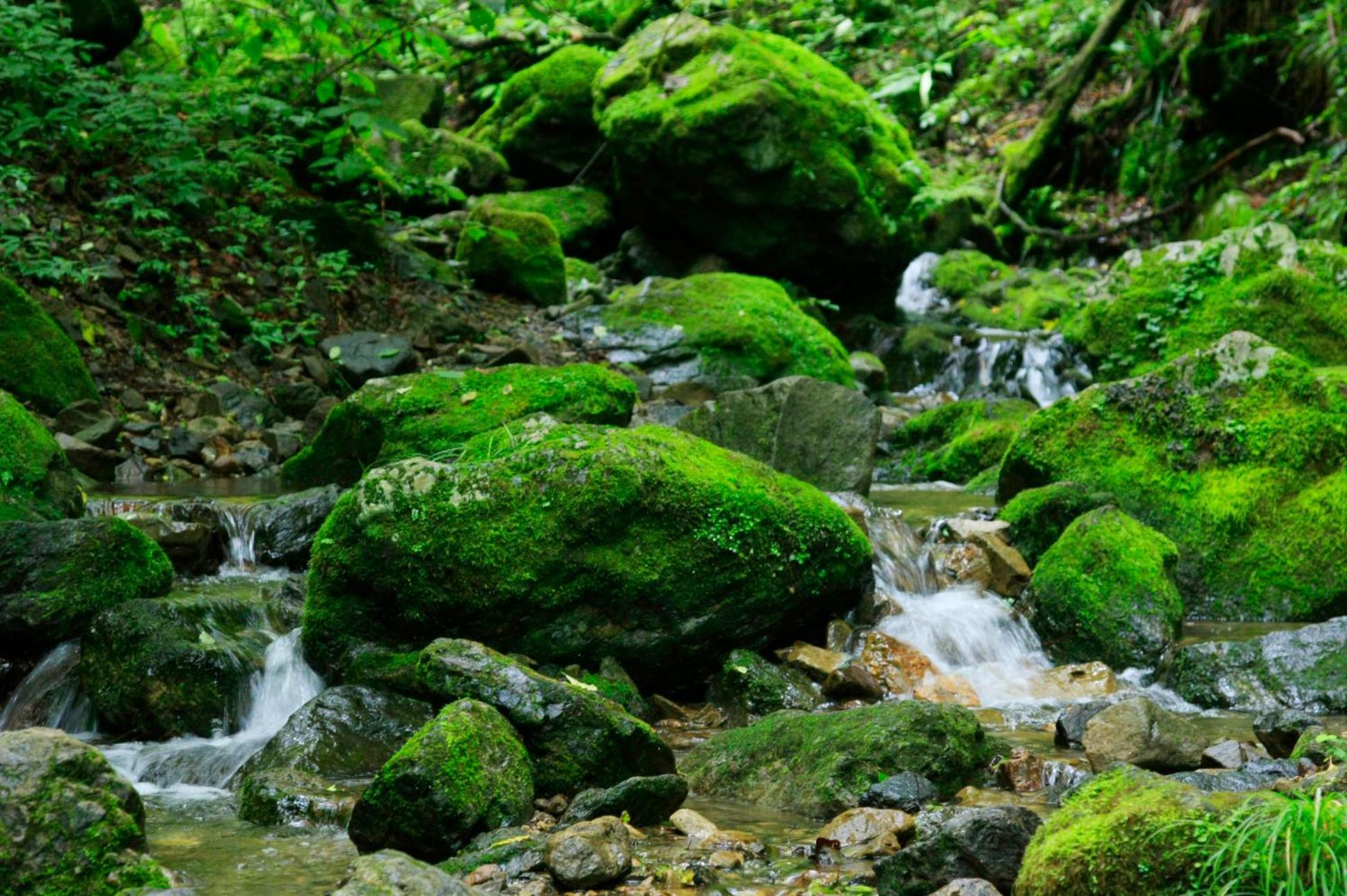 Photo 44