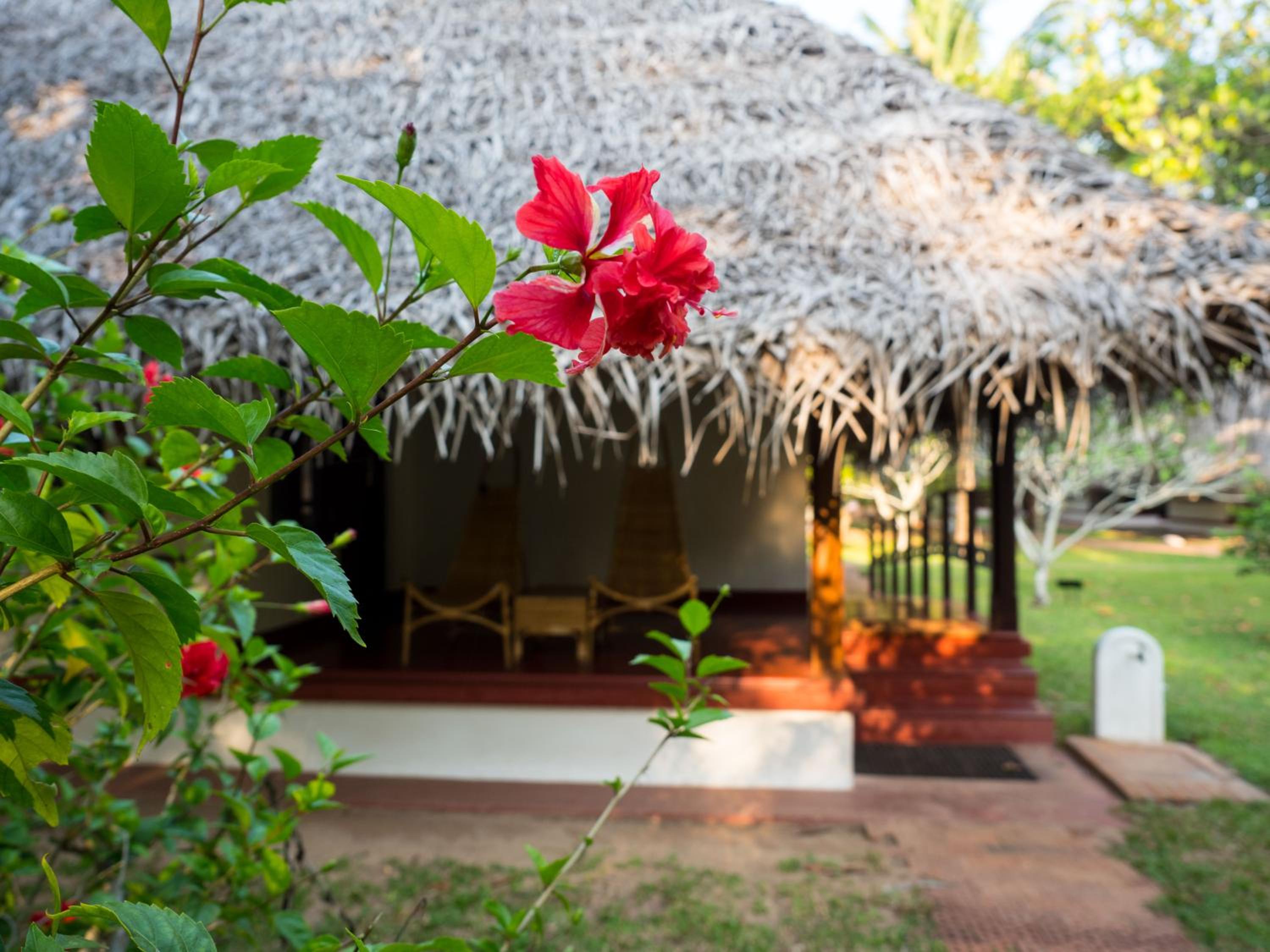 Marari Beach Resort Alleppey – A CGH Earth Experience Marari Beach Resort Alleppey – A CGH Earth Experience