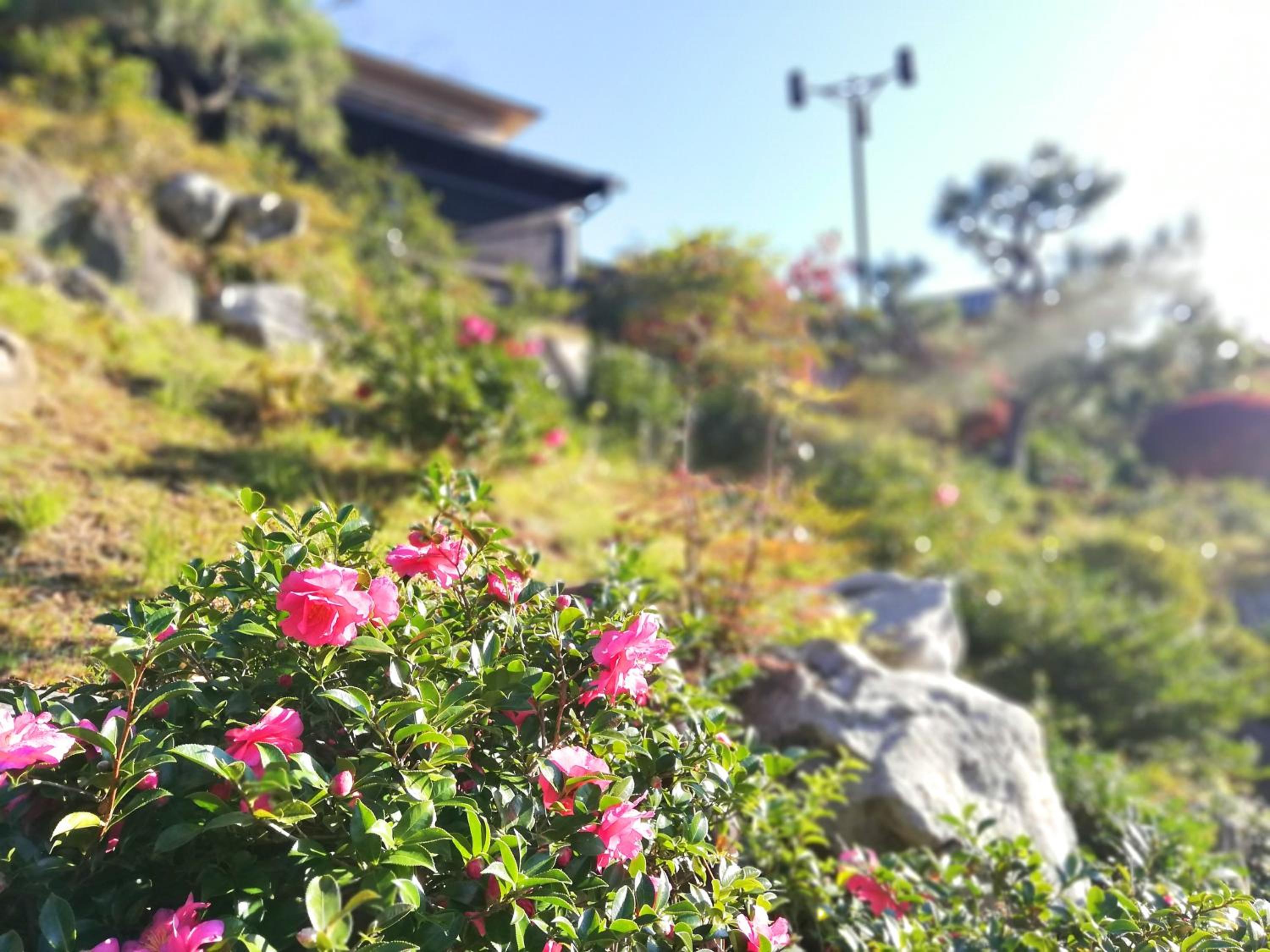 Ishinoya Izunagaoka - TKP Hotels & Resorts, photo 26
