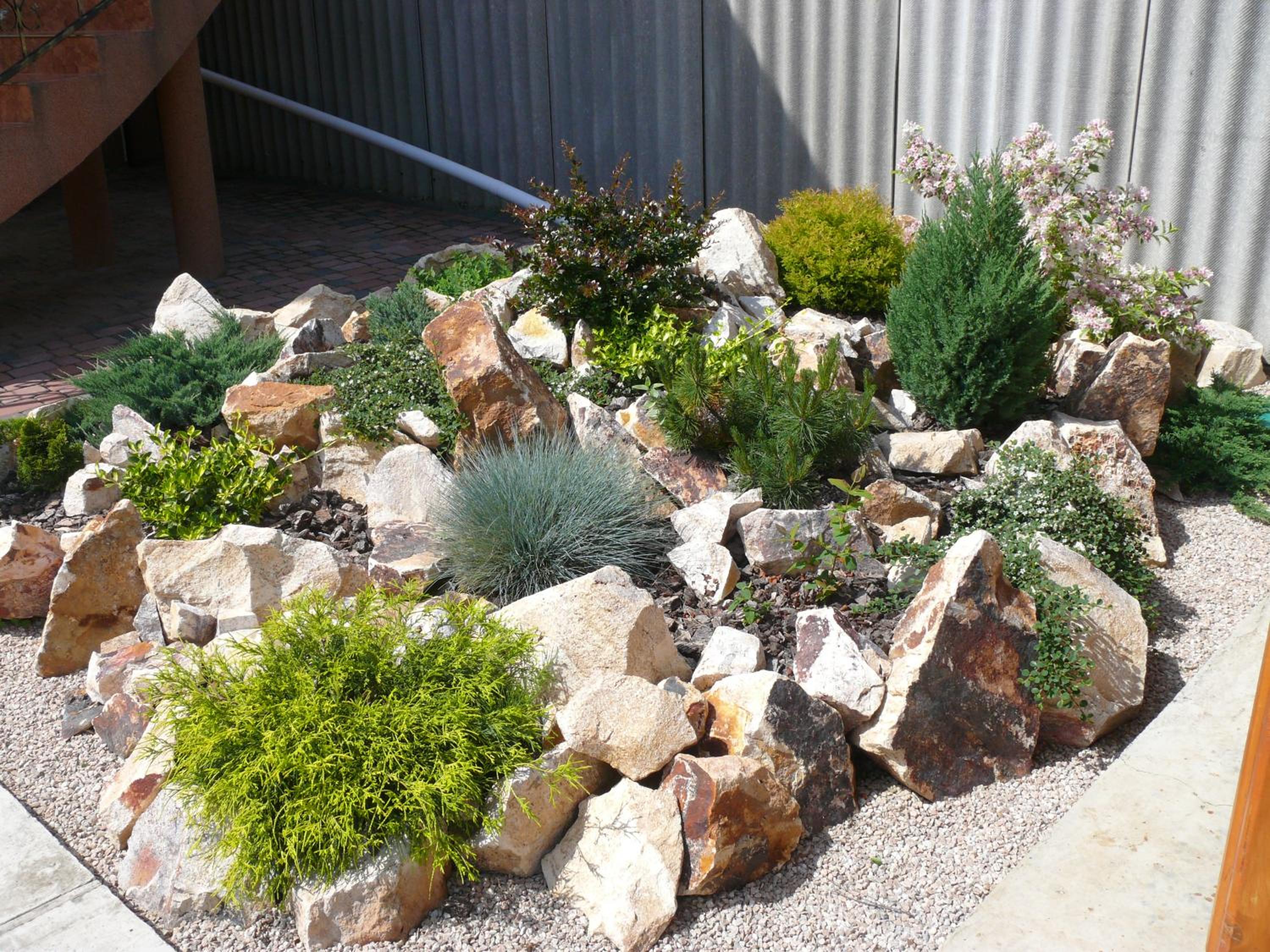 Photo 25